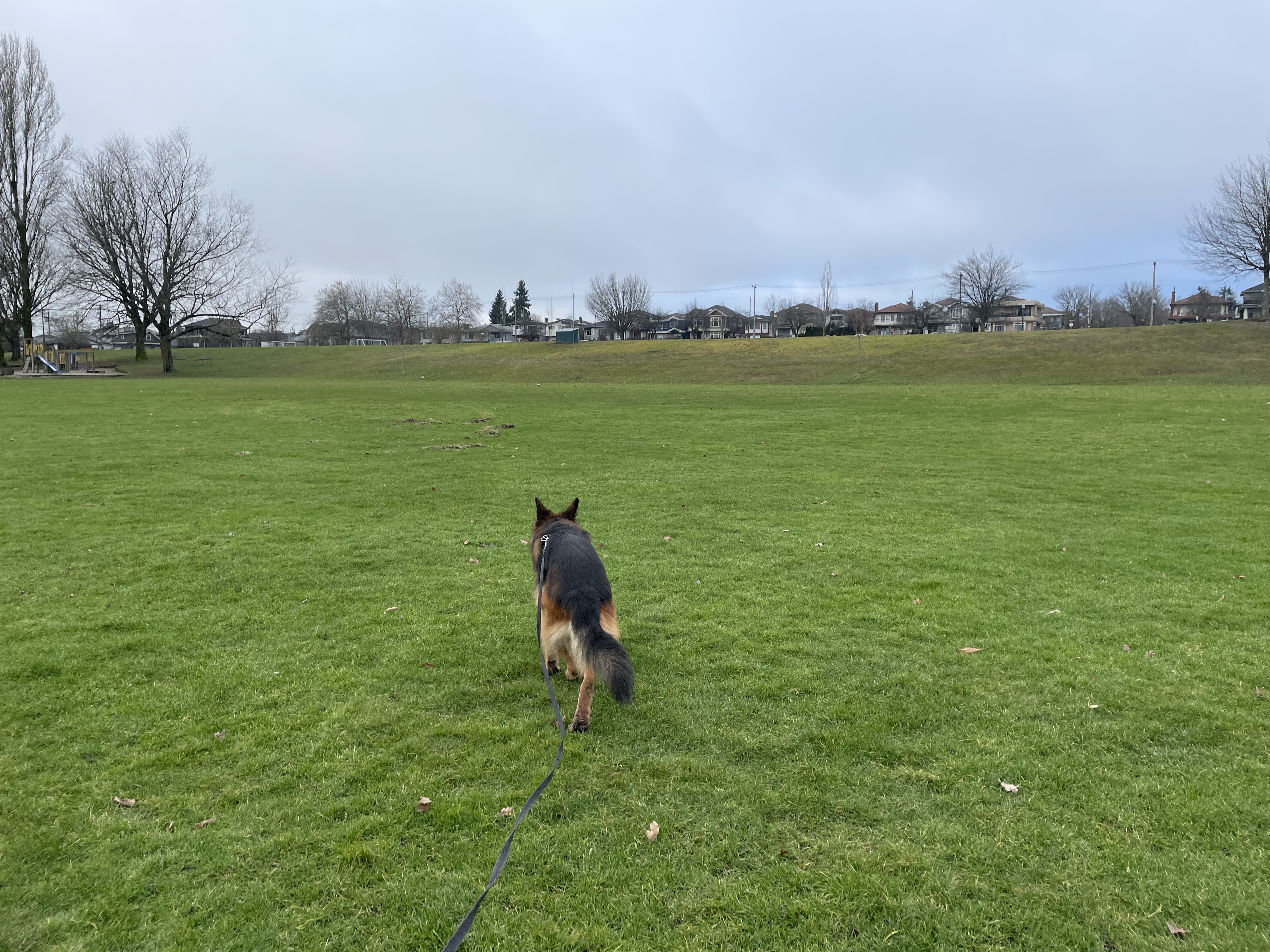Moberly Park/On Leash