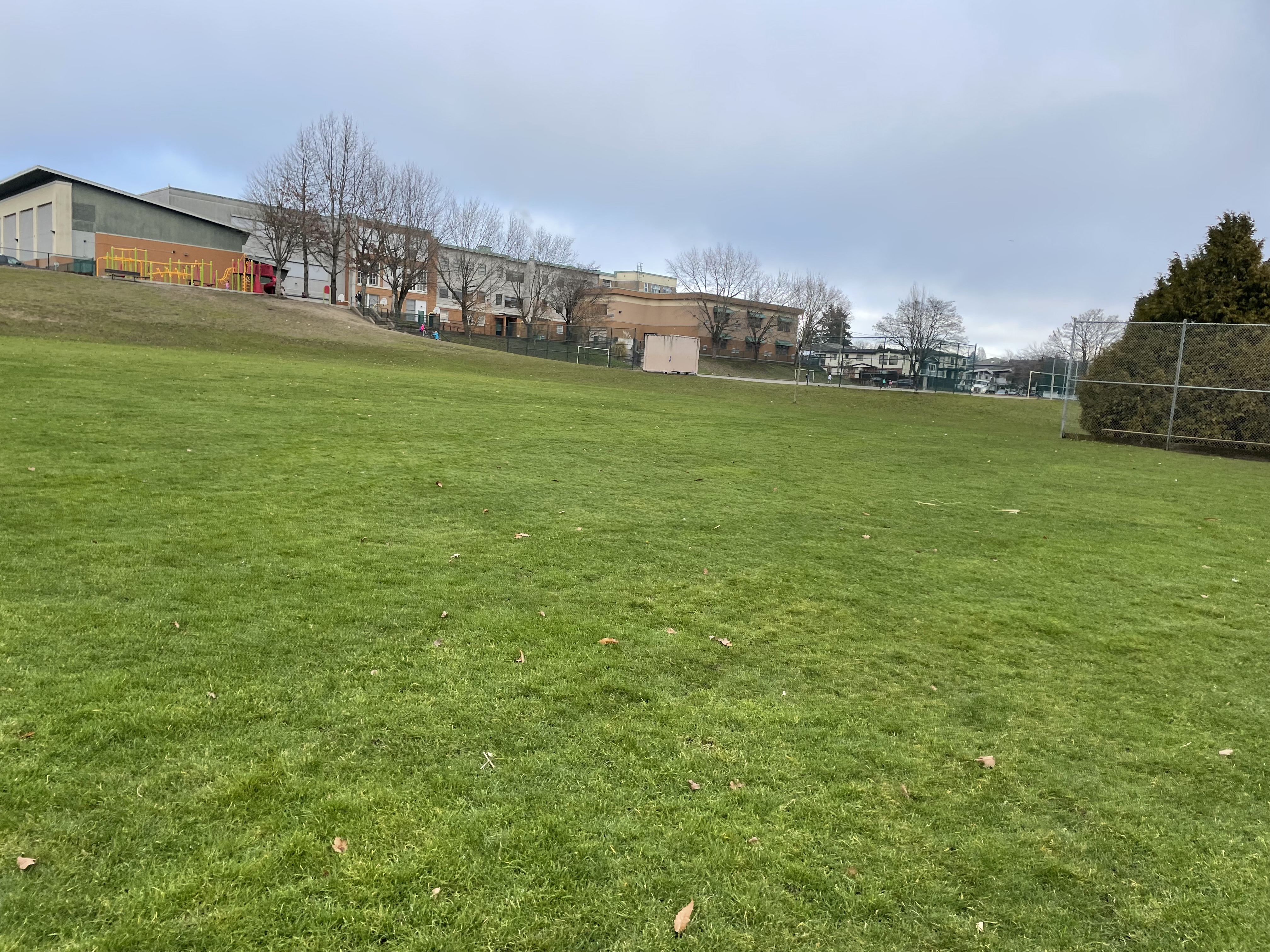 Moberly Park/On Leash