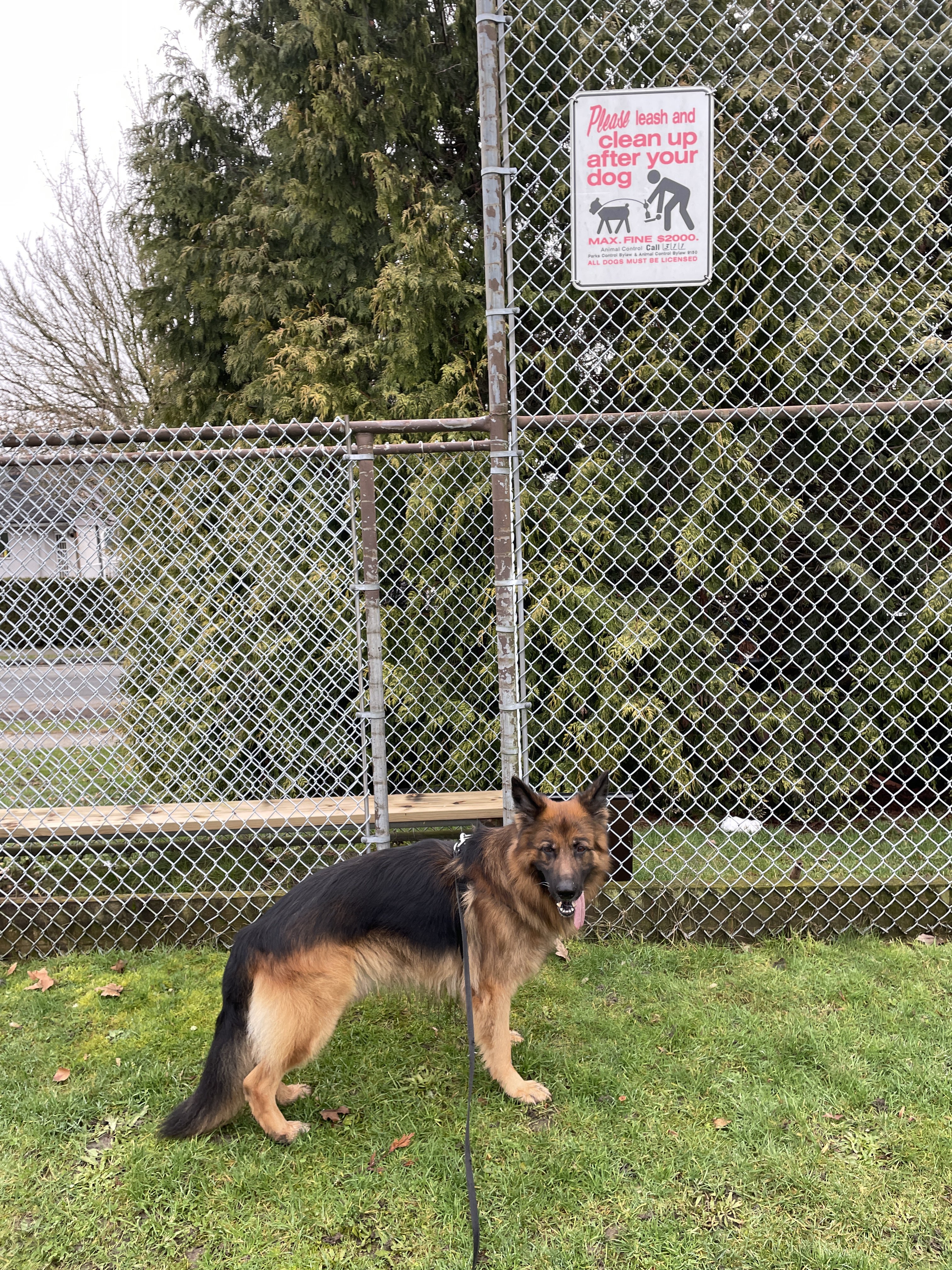 Moberly Park/On Leash