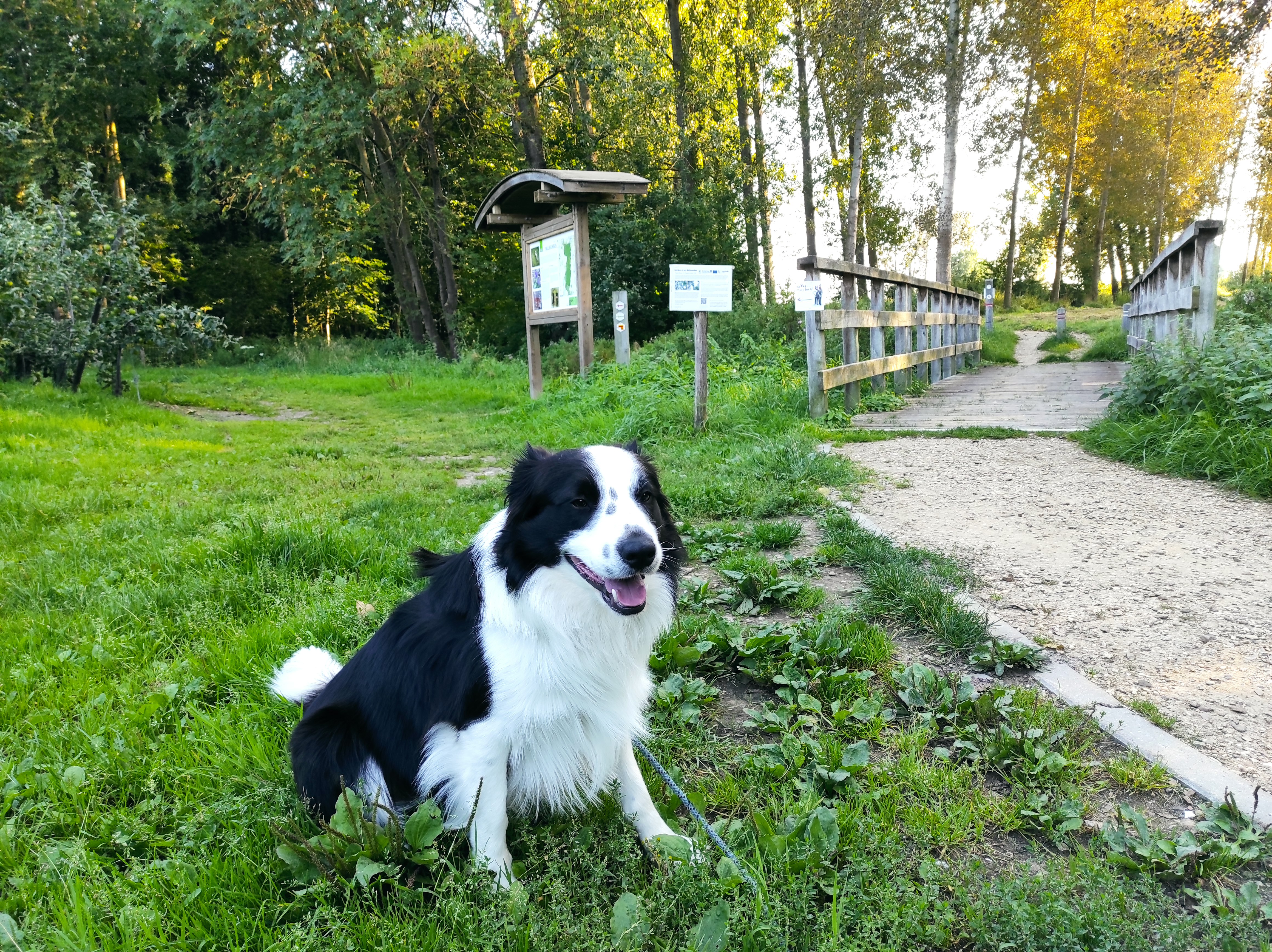 Losloopbos BelleVuebos