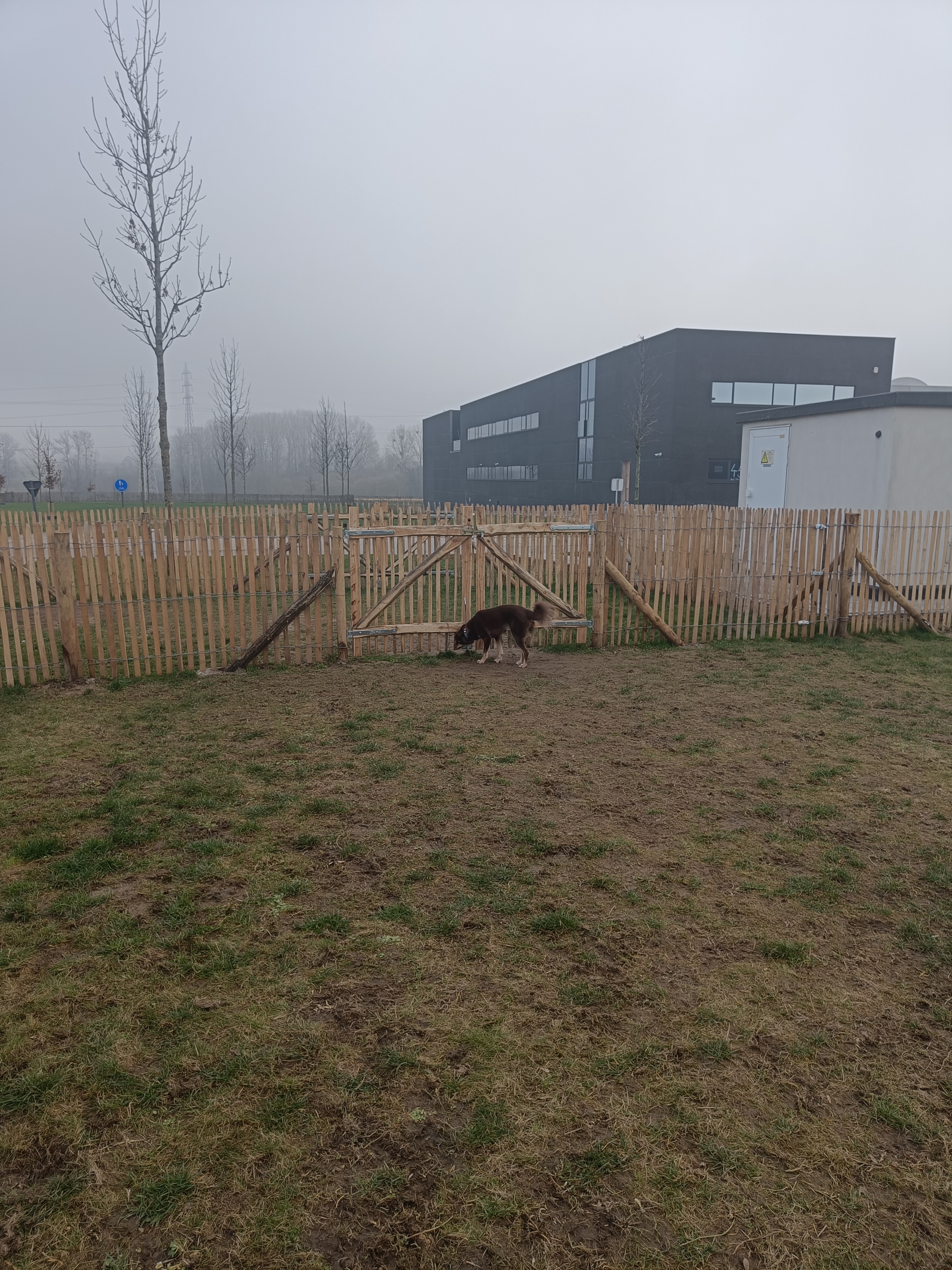 Hondenweide Bremakker