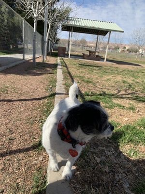Jensen Trailside Dog Park