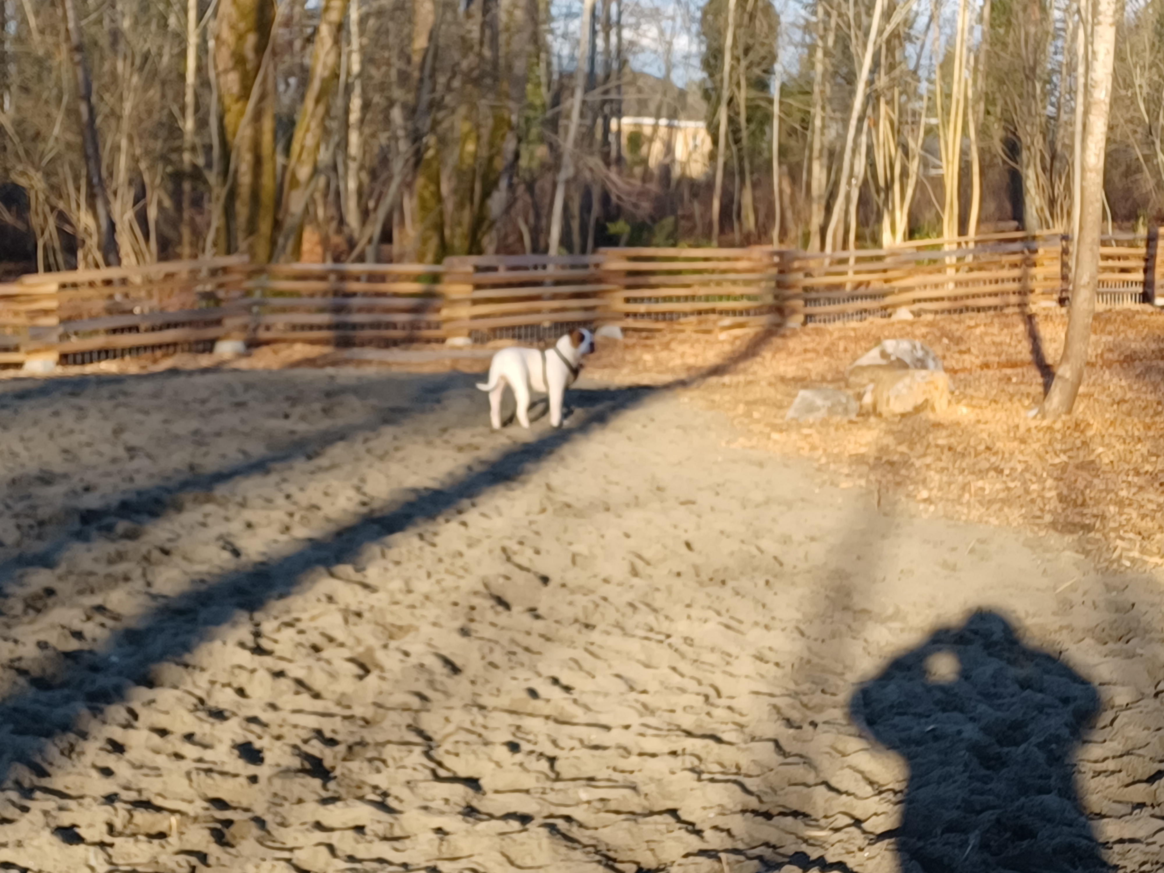Mackie Park - Off Leash Area