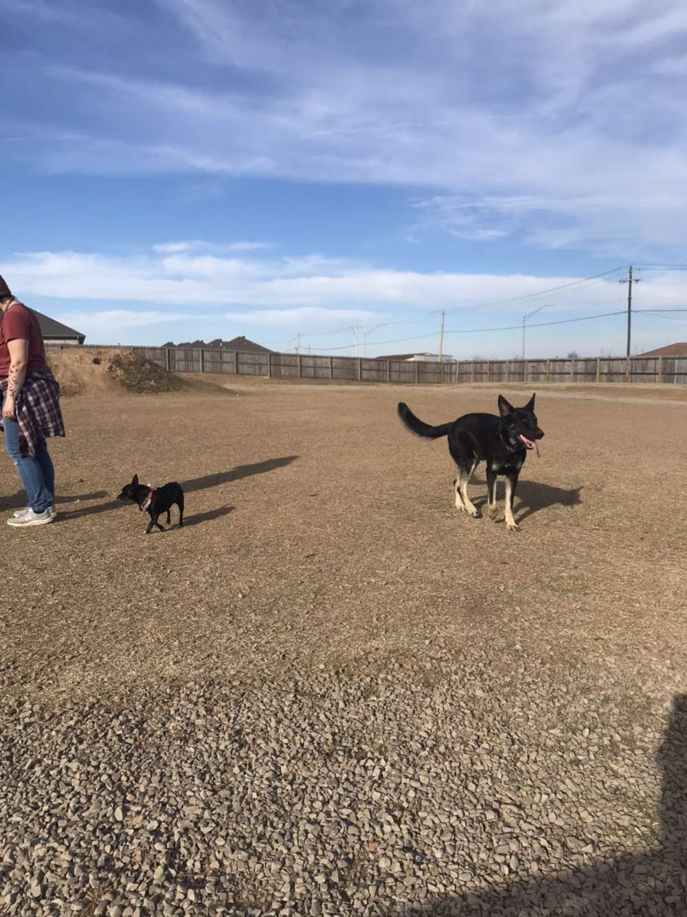 Chaffee Crossing Neighborhood Dog Park