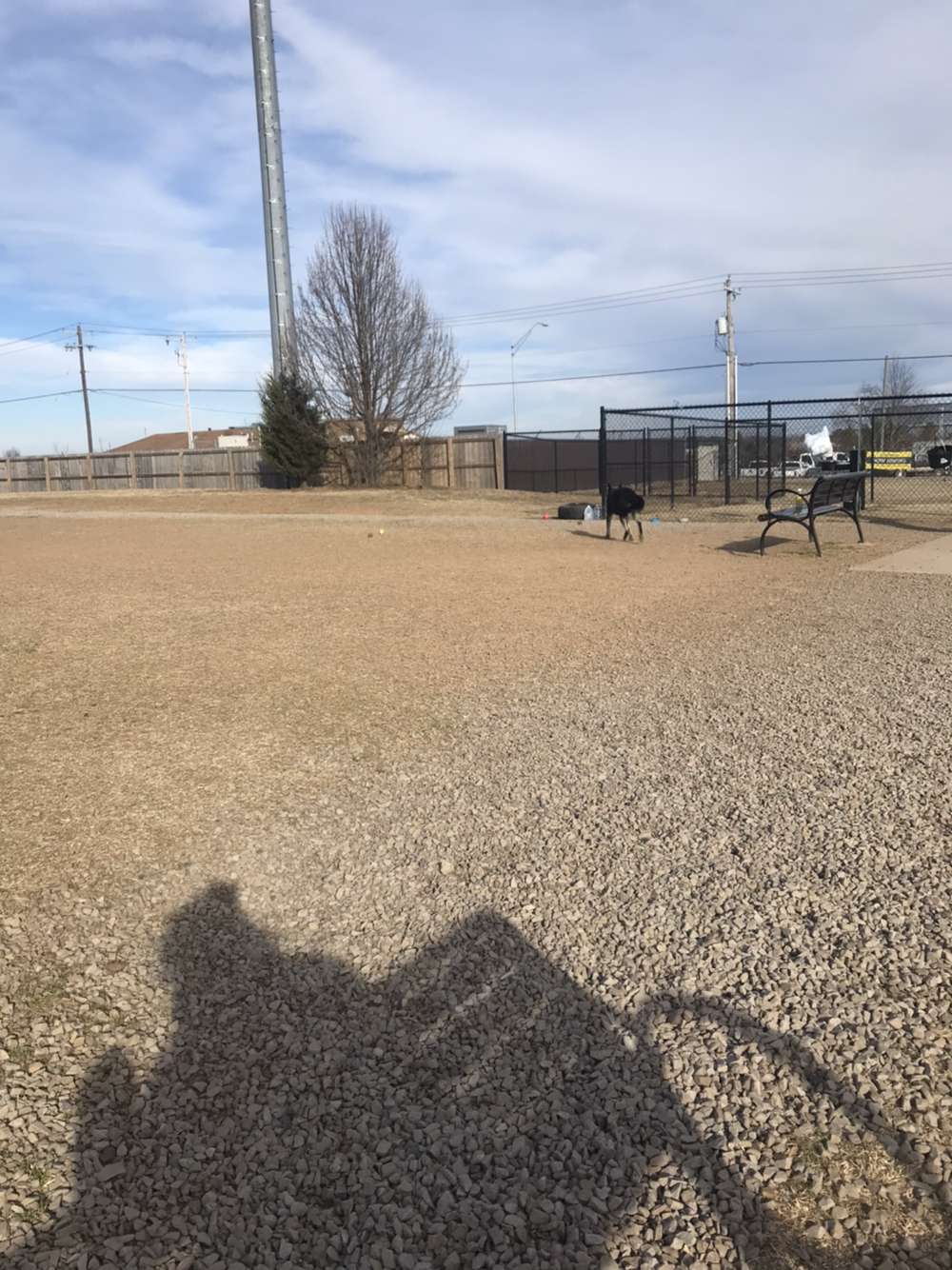 Chaffee Crossing Neighborhood Dog Park