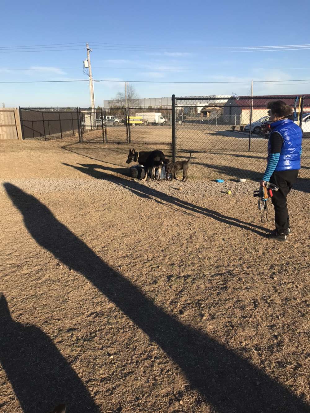 Chaffee Crossing Neighborhood Dog Park