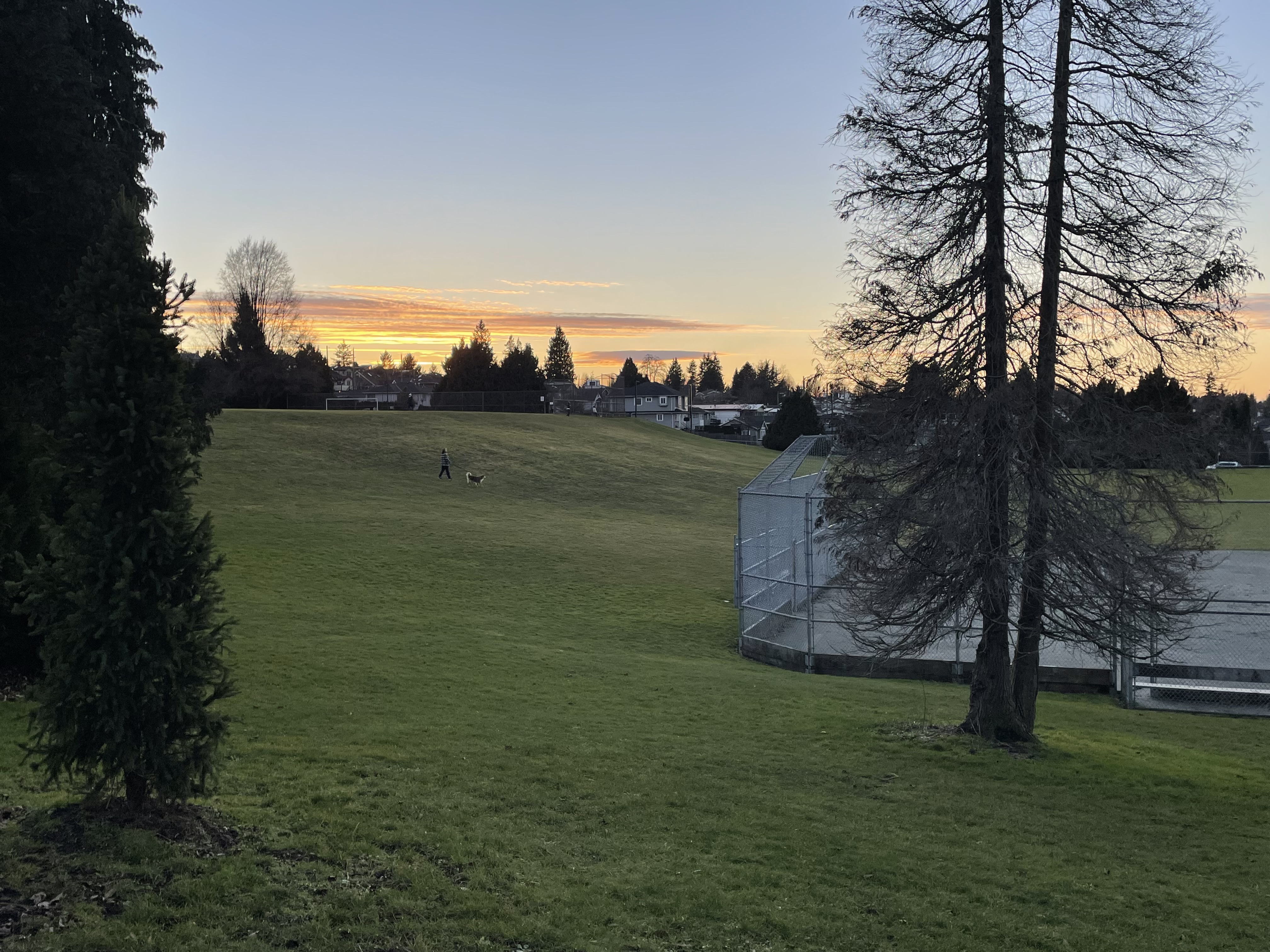 Kensington Park - On Leash