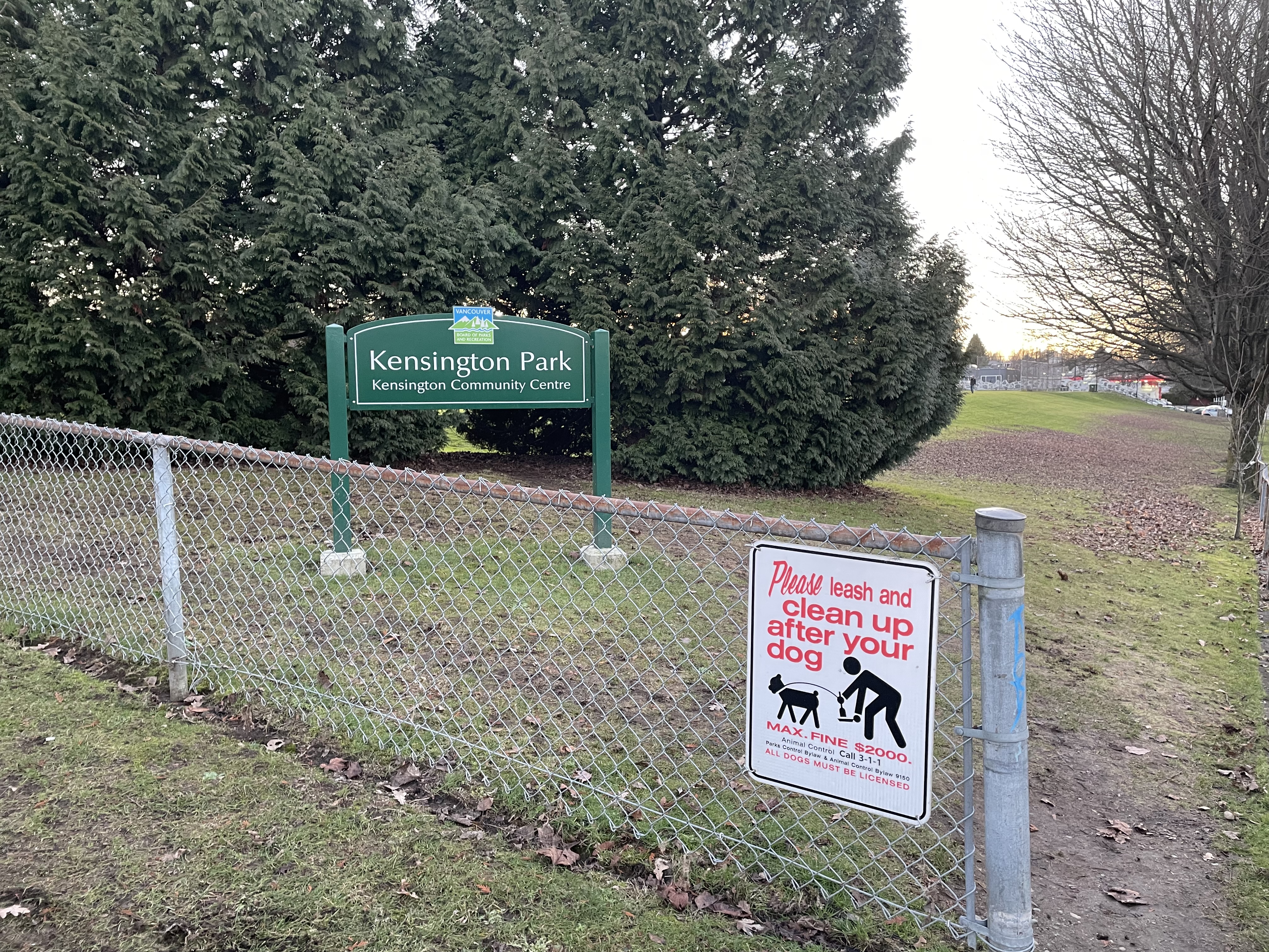 Kensington Park - On Leash