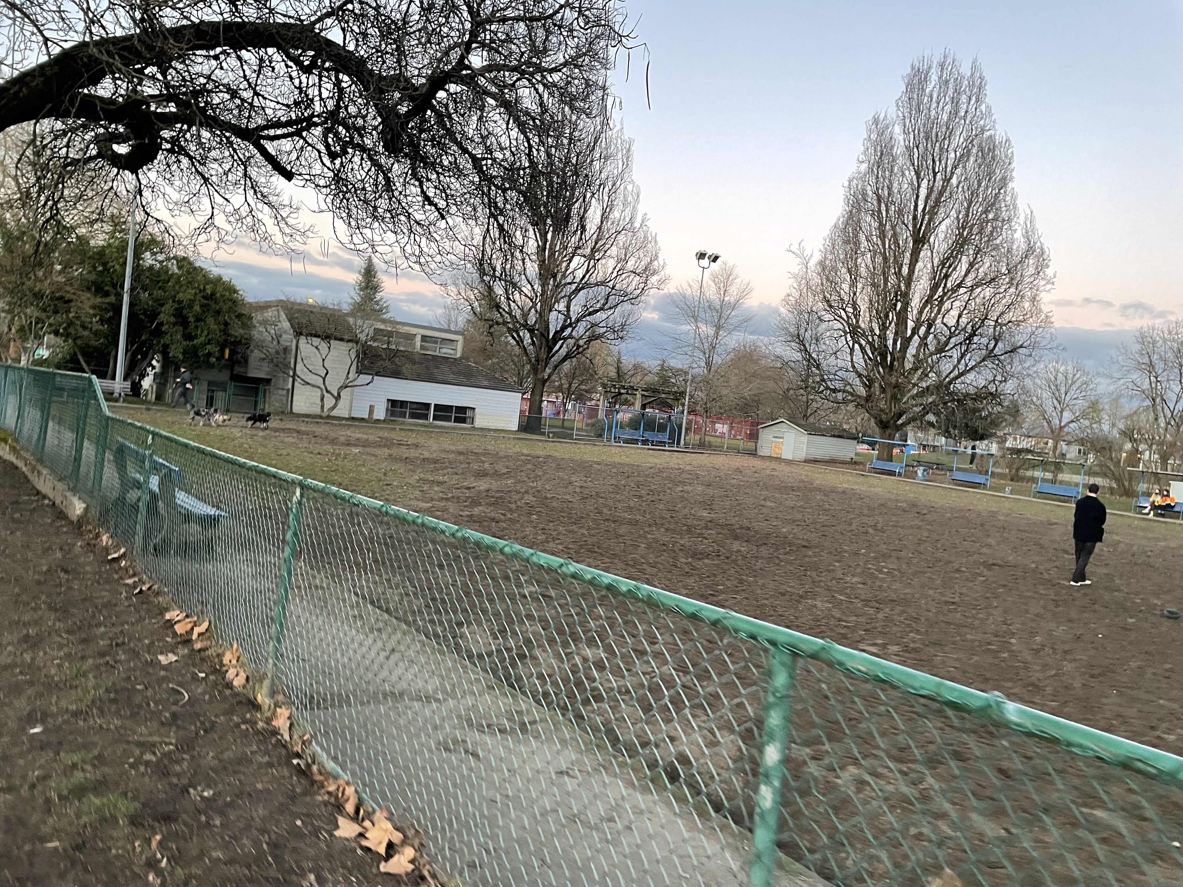 Grays Park - On Leash