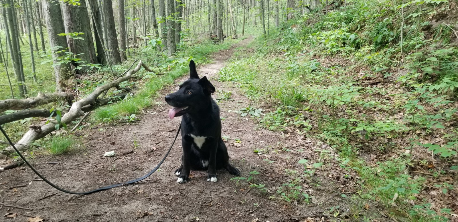 Springwater (Simcoe County Trail)