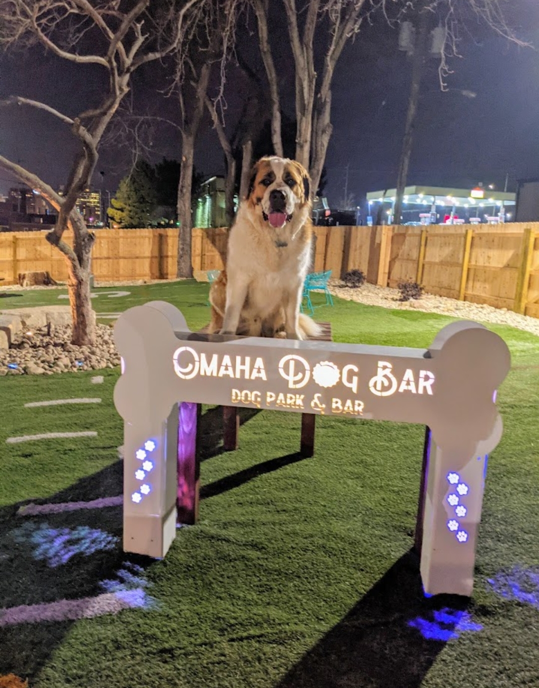 Omaha Dog Bar