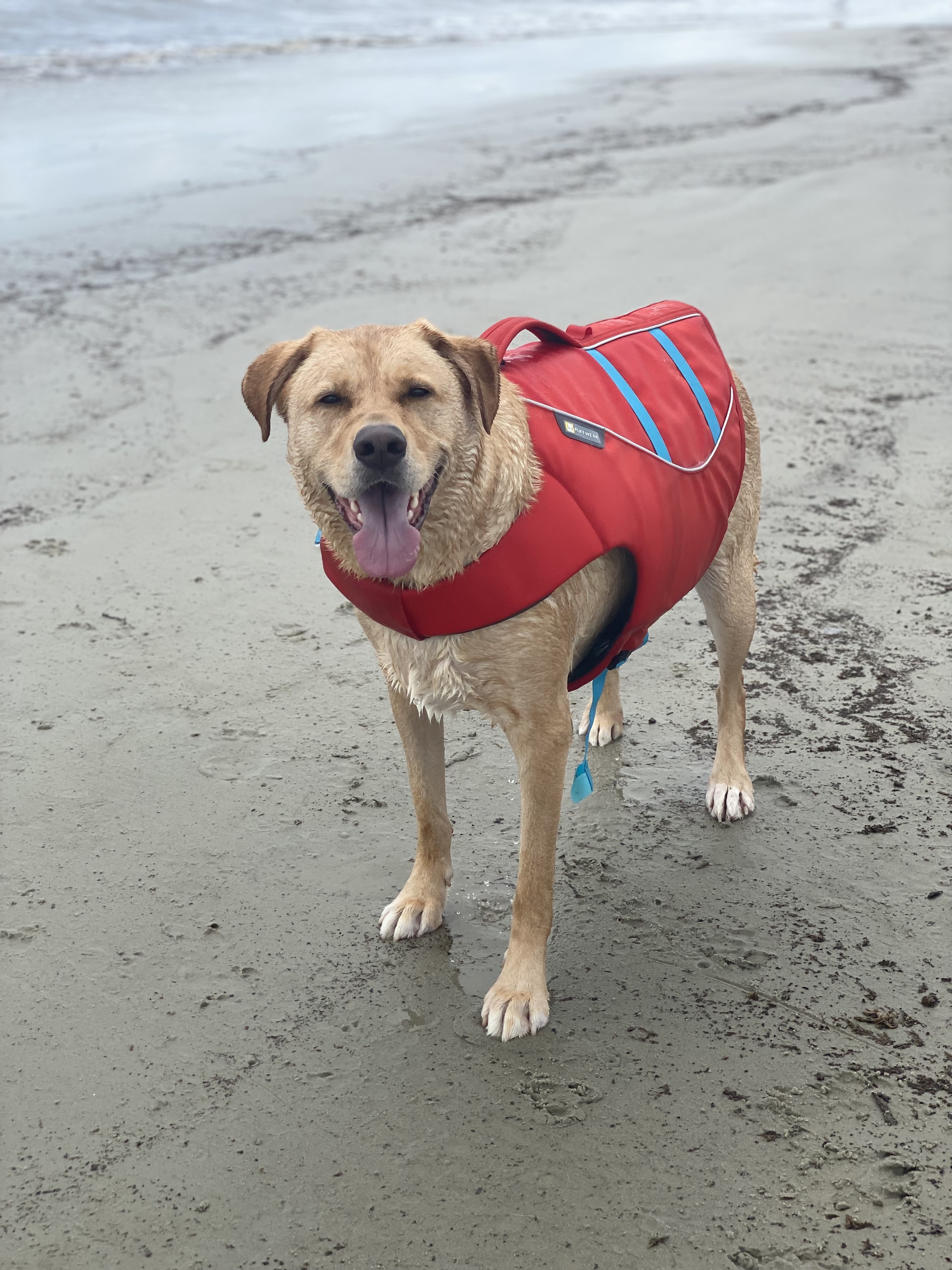 Jekyll Island Oceanview Beach Park