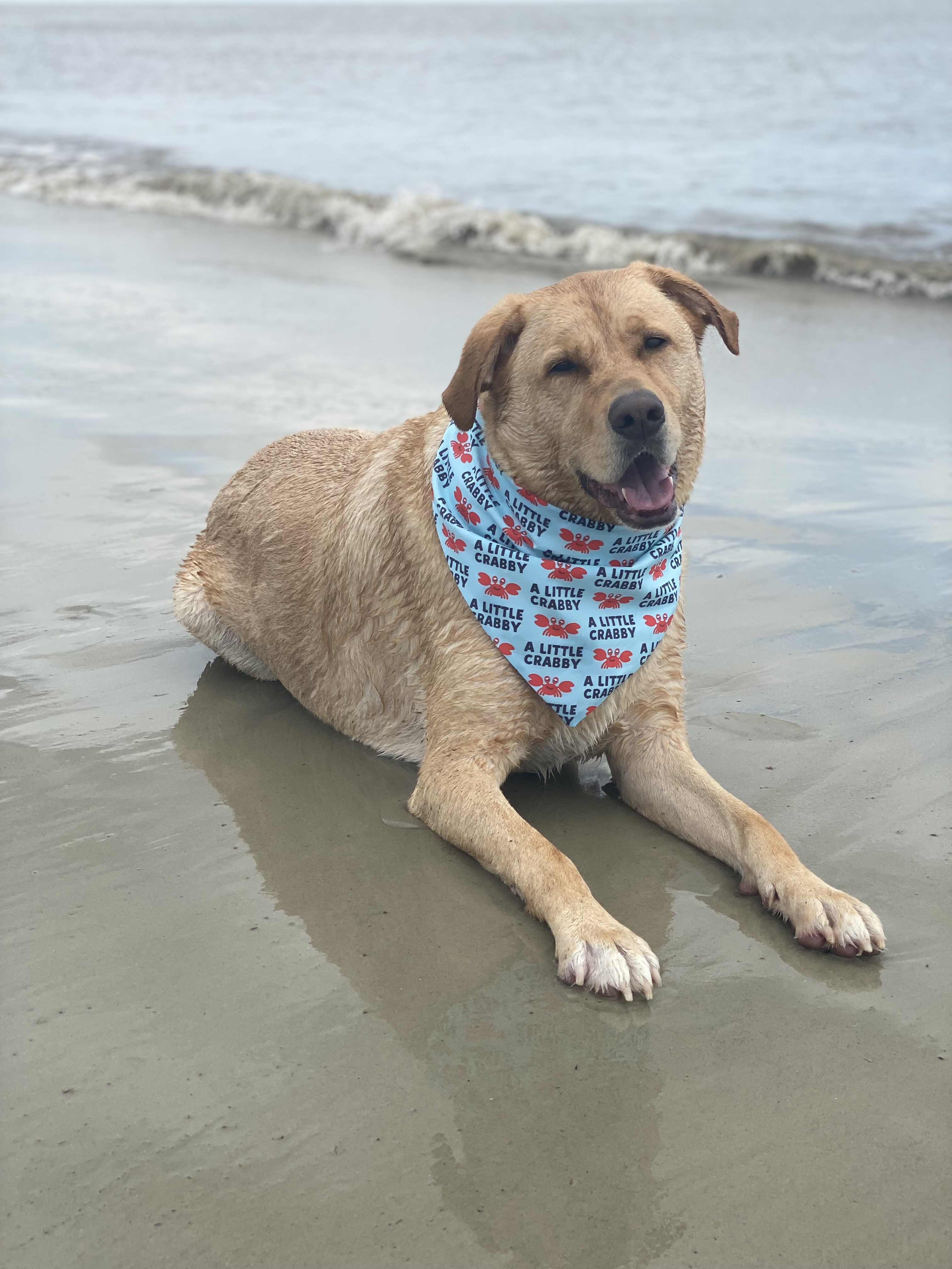 Jekyll Island Oceanview Beach Park