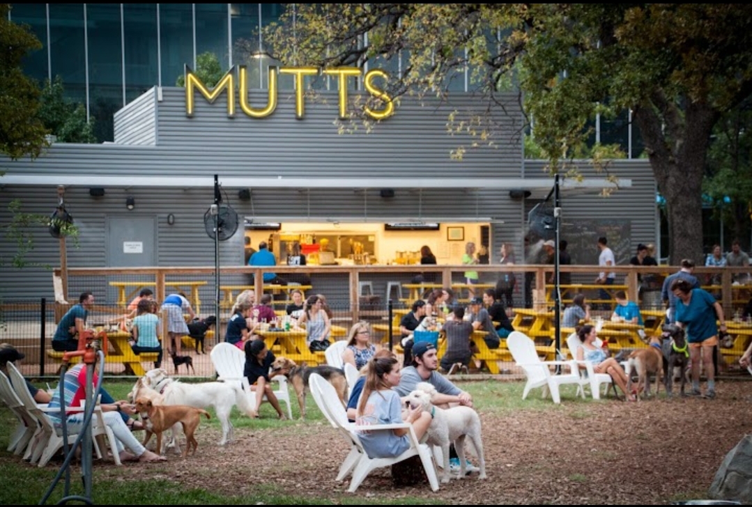 MUTTS Canine Cantina