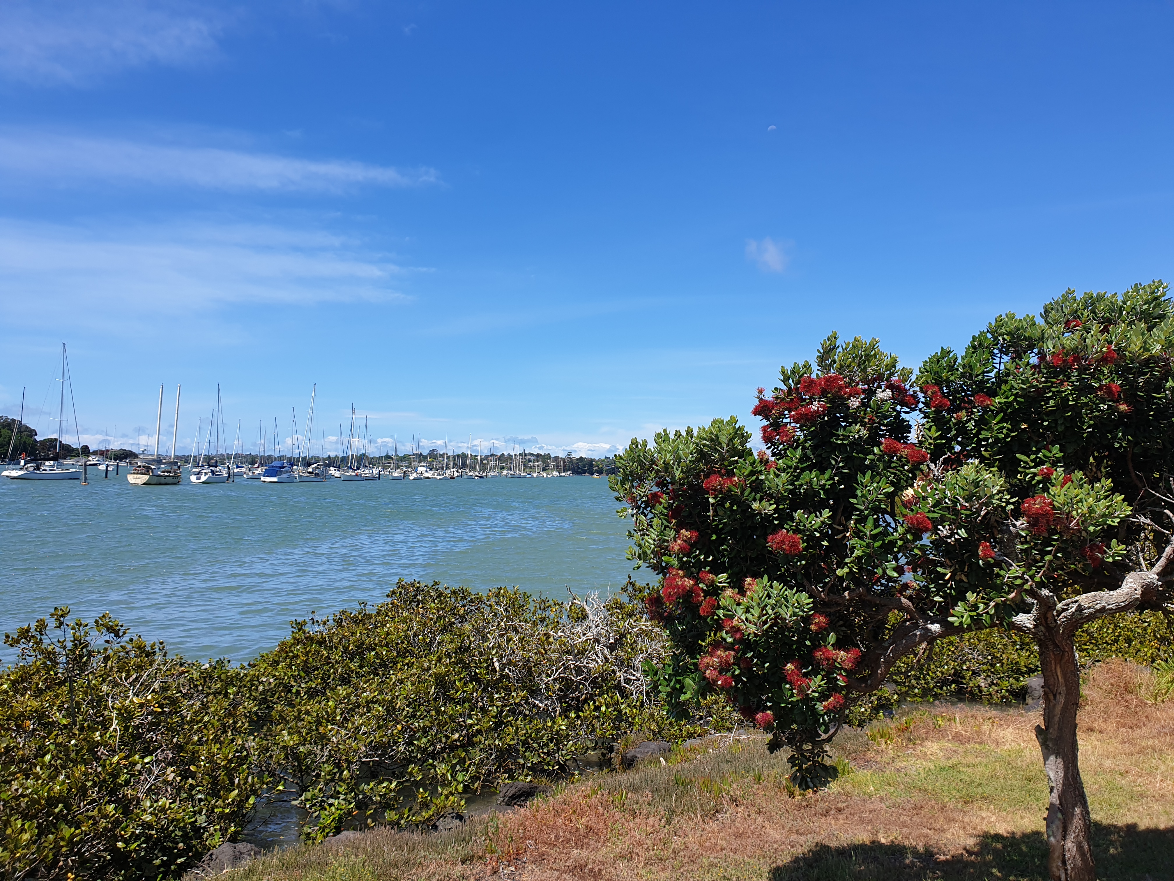 Dayspring Way Esplanade Reserve