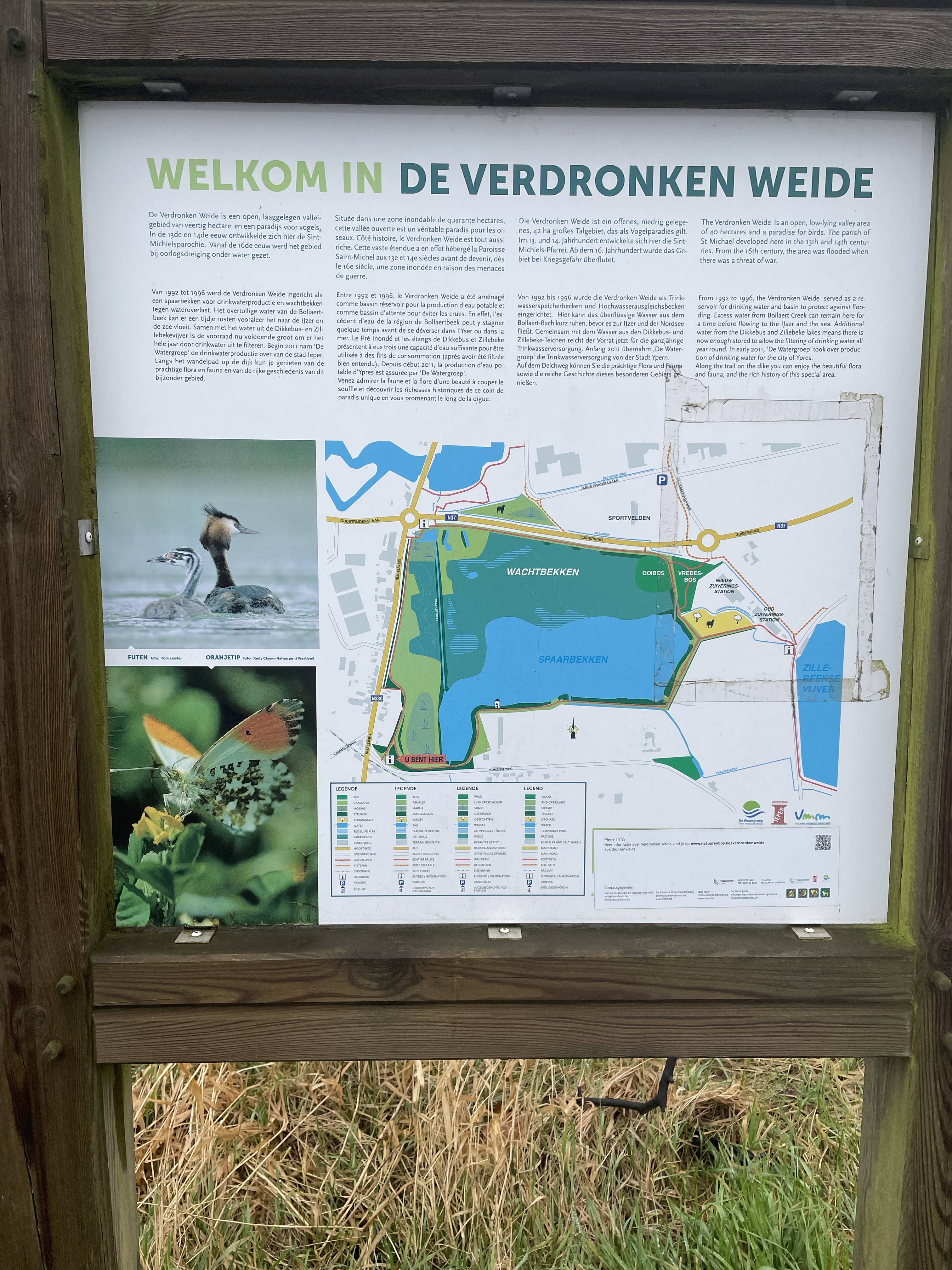 Verdronken Weide, Ieper