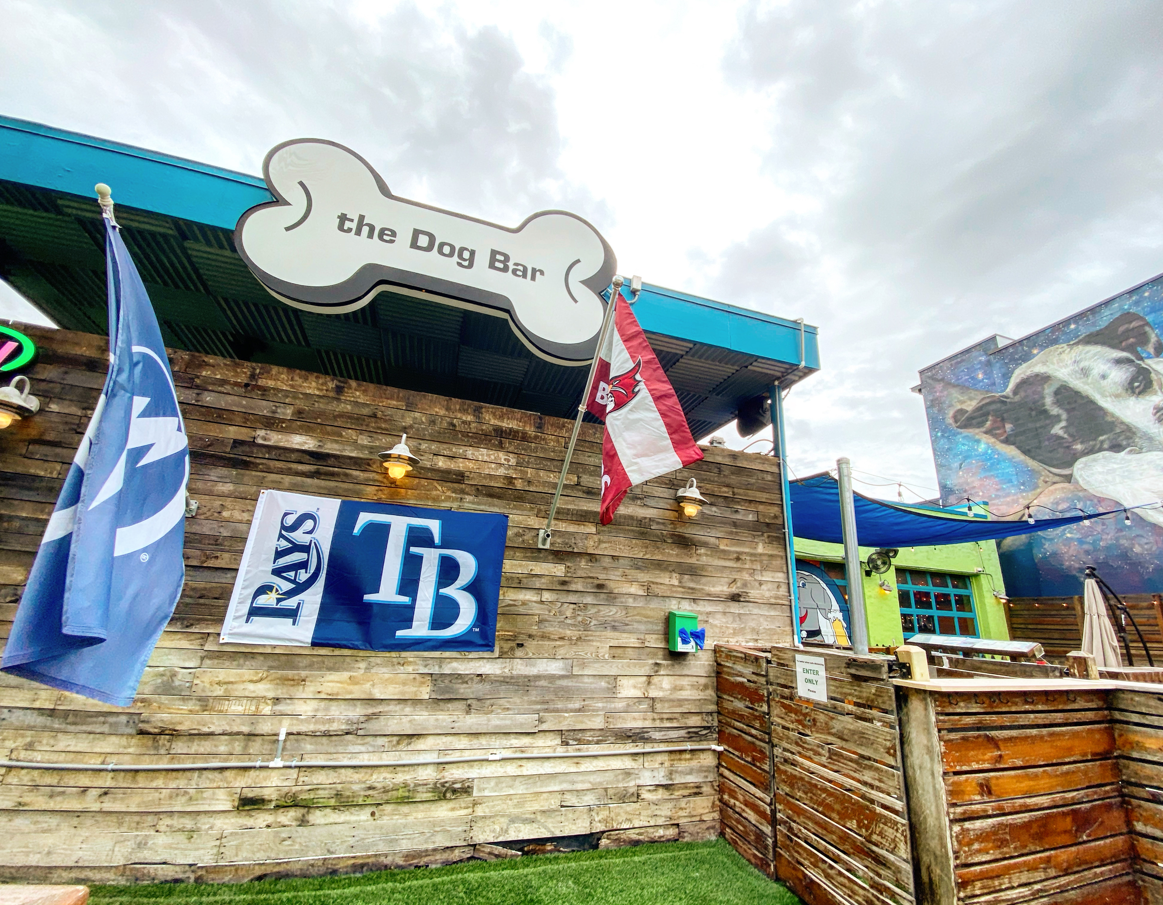 The Dog Bar - Indoor and Outdoor Dog Parks