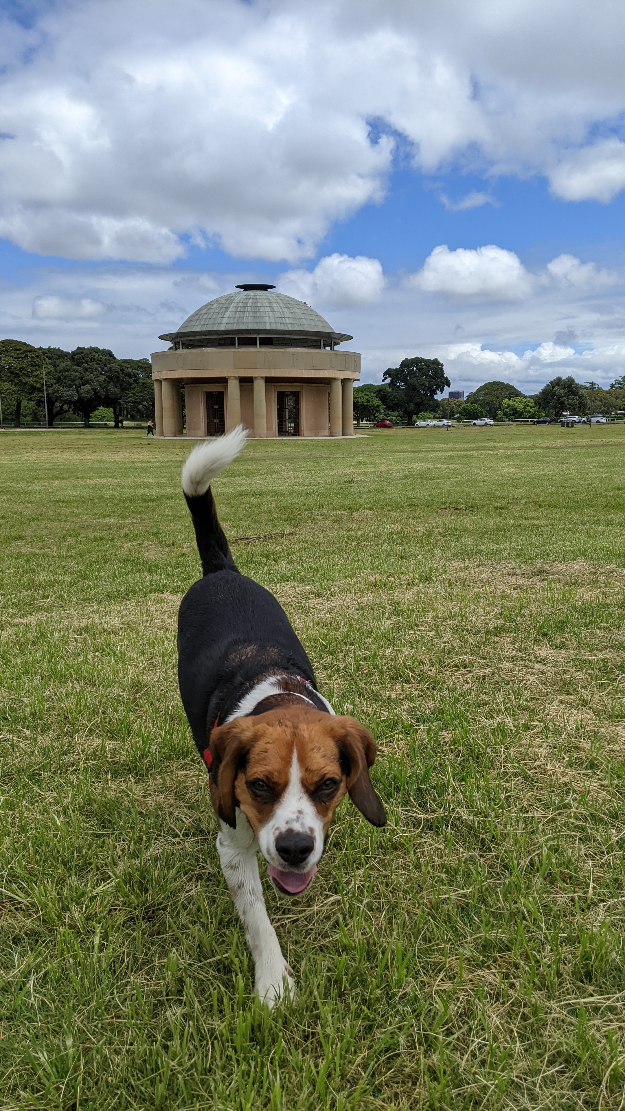Centennial Park Brazilian Fields