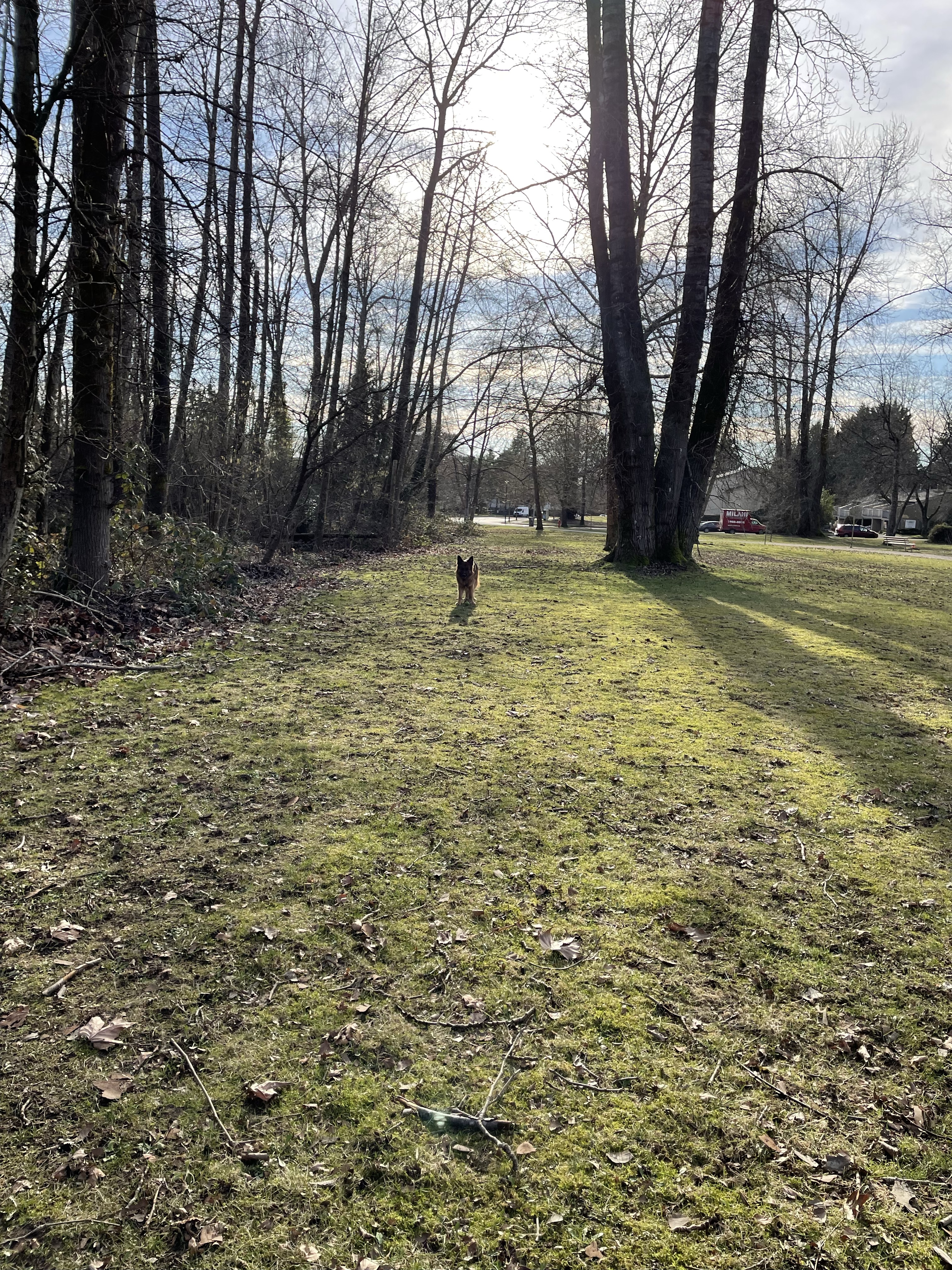 Champlain Heights Park