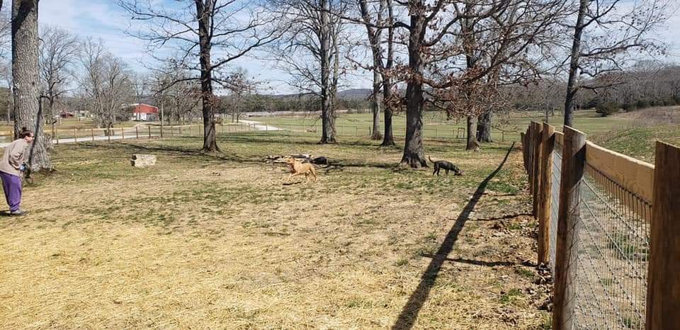 Hop Springs Brew Park - Dog Park