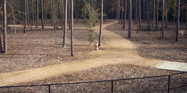 Burroughs Off Leash Trail