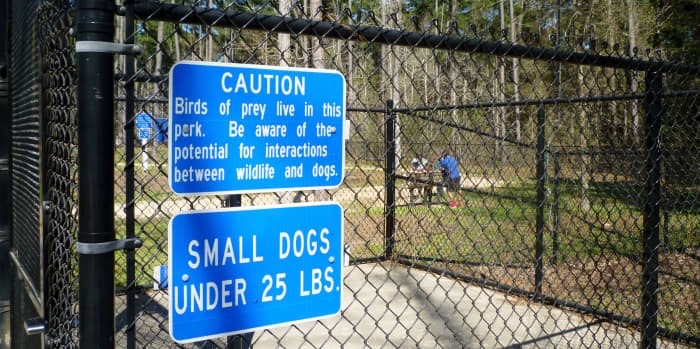 Burroughs Off Leash Trail