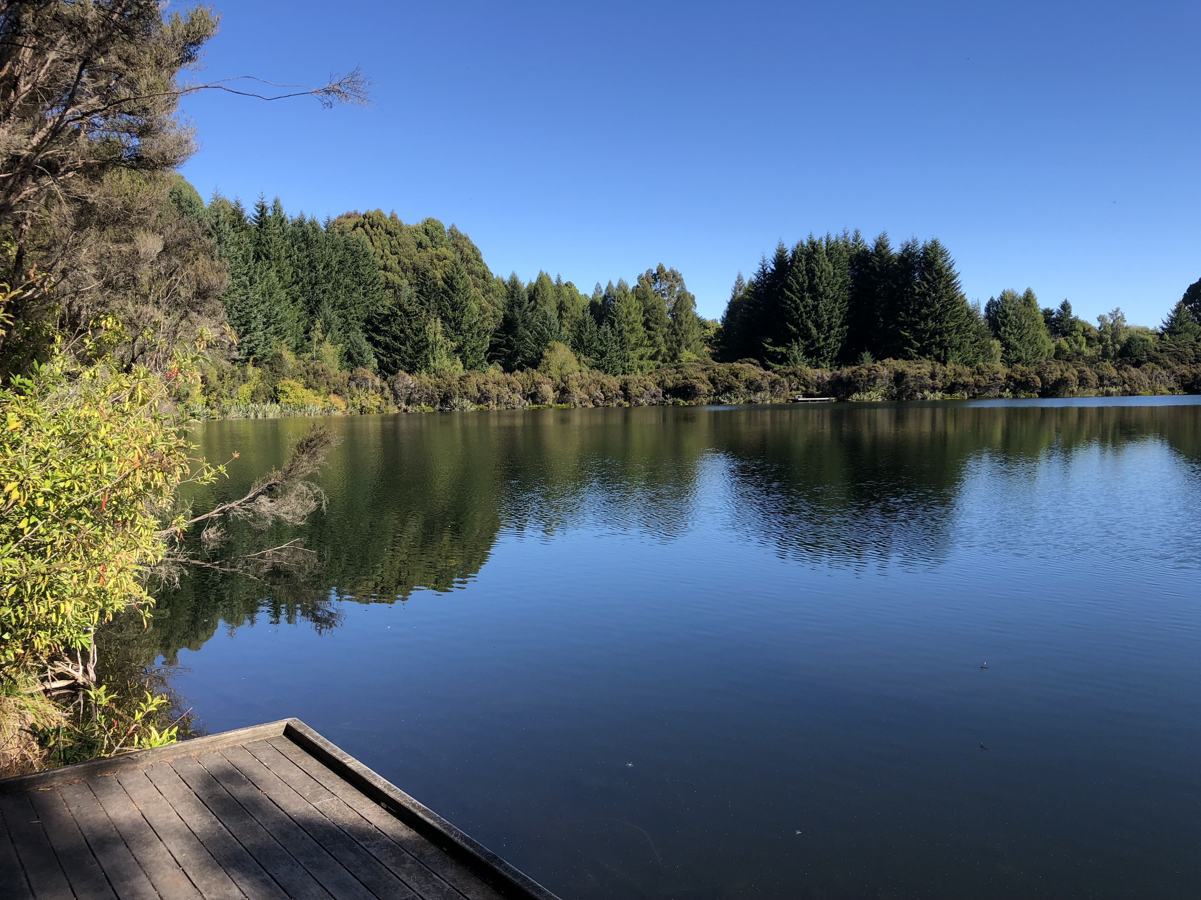 Ivon Wilson Scenic Reserve