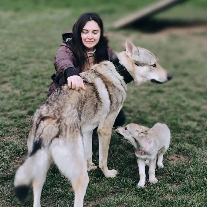 Dogs Playground, Karasova ul.