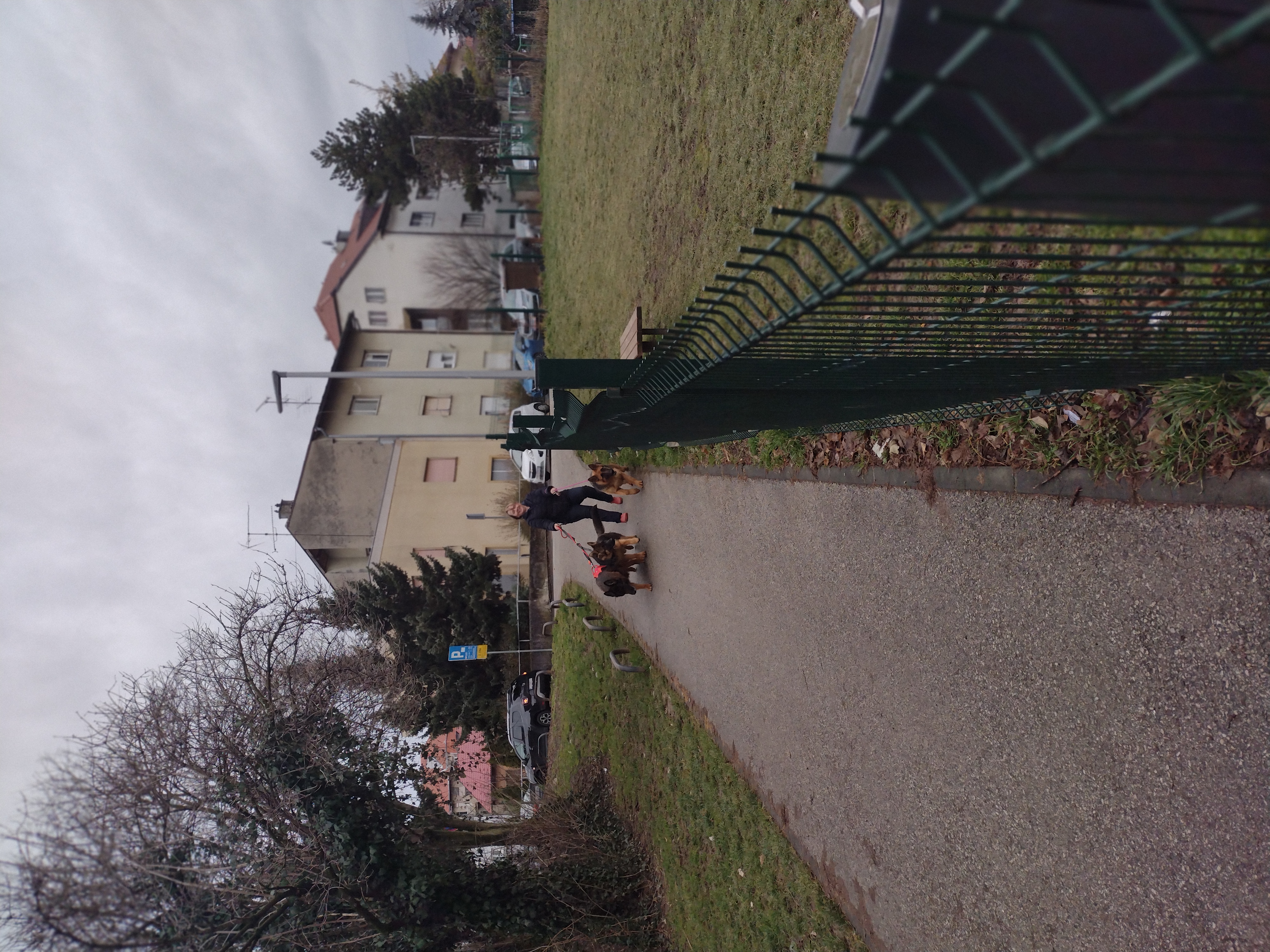 Vau Park Branimirova