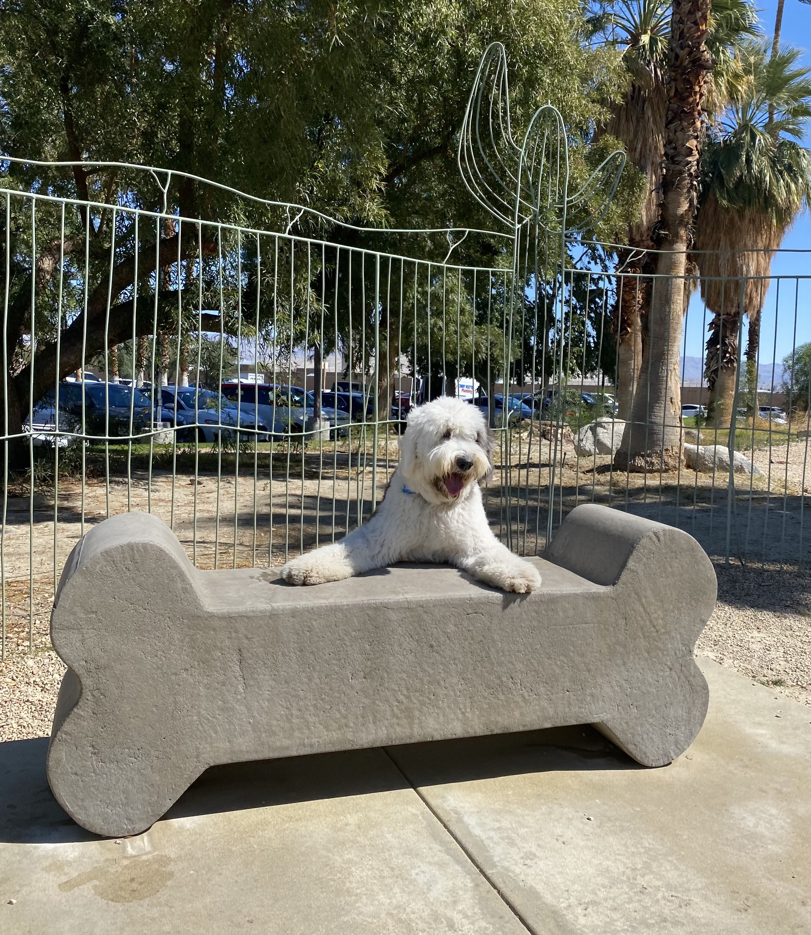 David H. Ready Palm Springs Dog Park