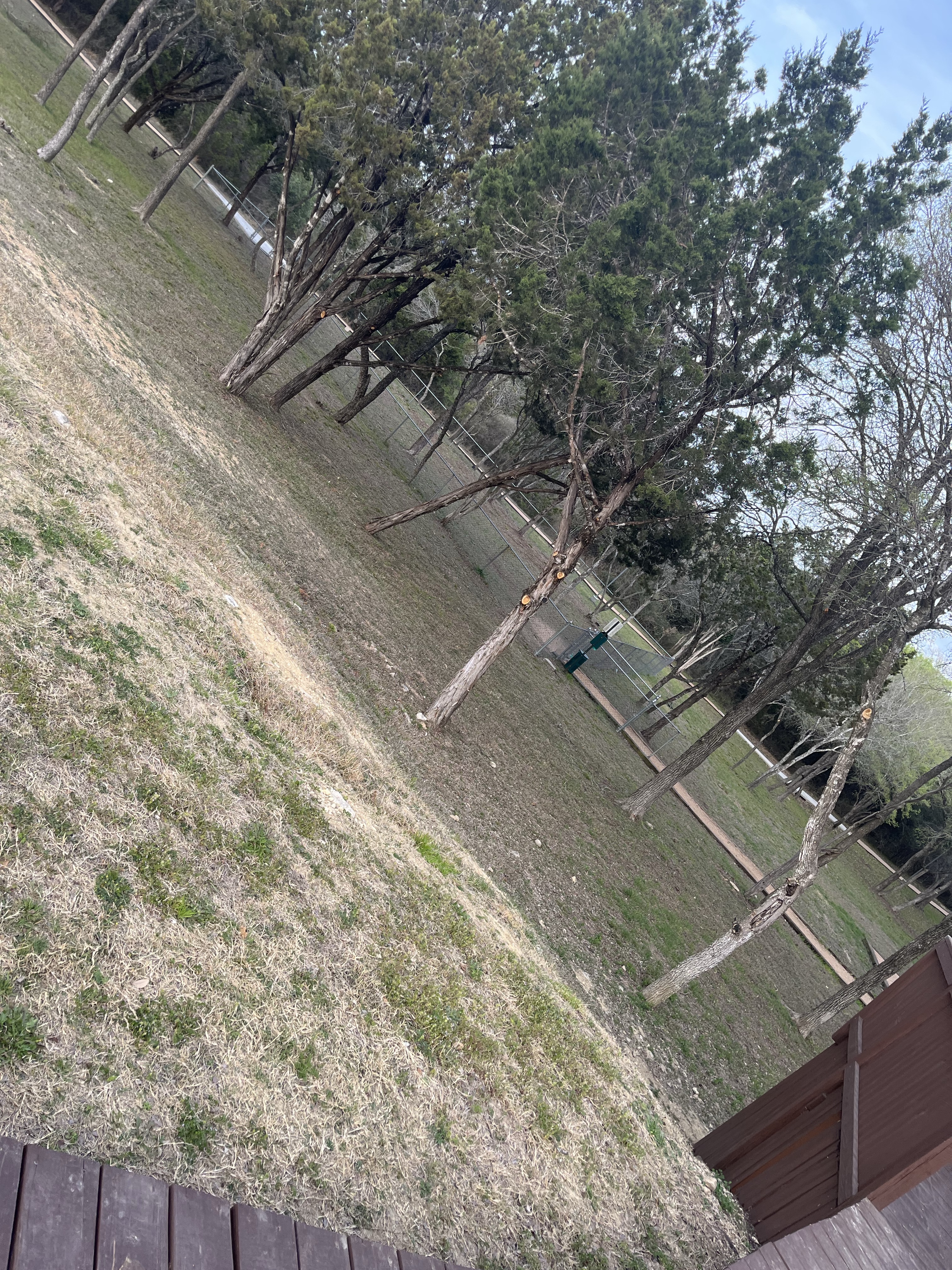 Monterrey Village Dog Park