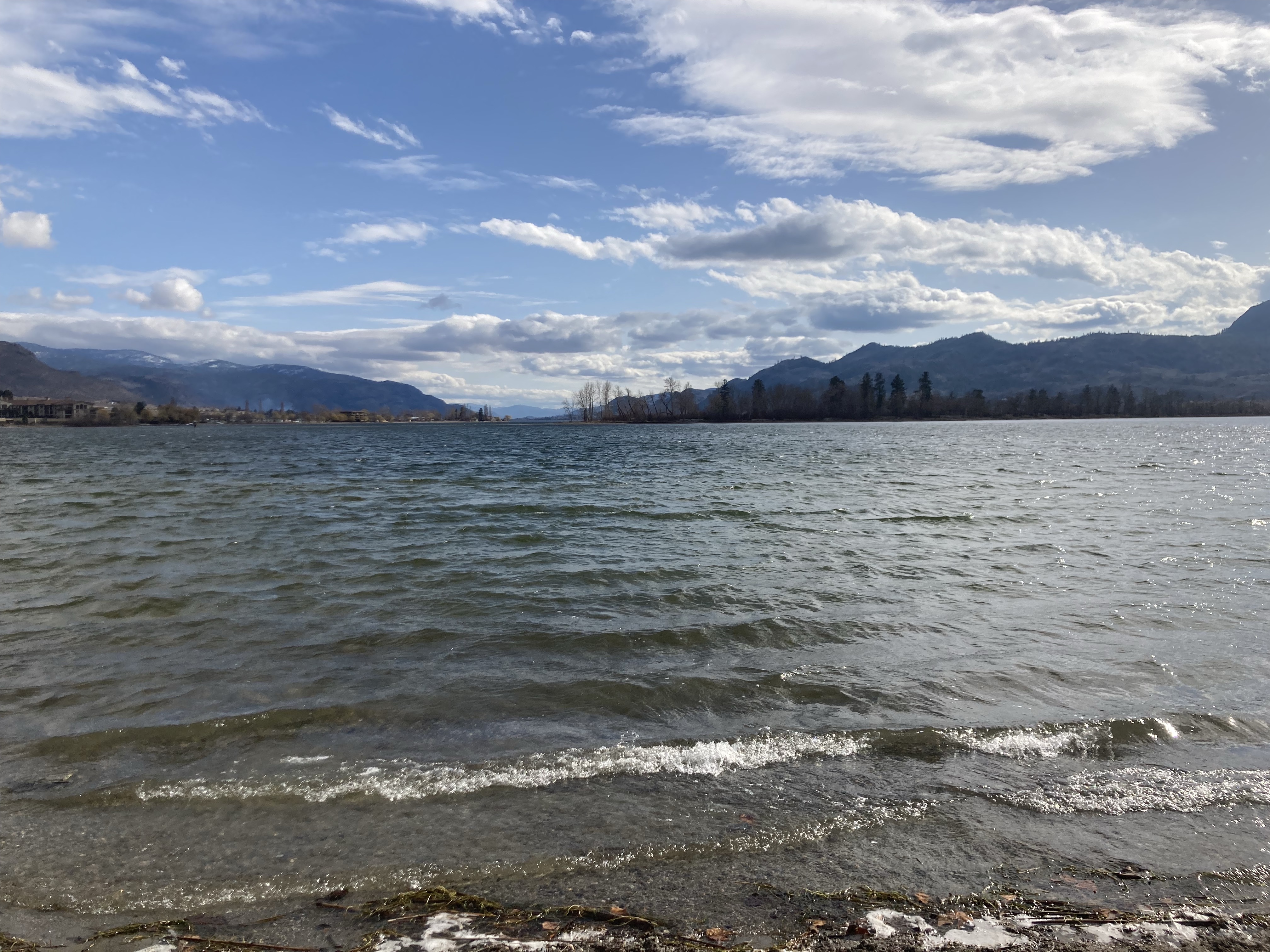 Goodman Park - Dog Friendly Beach