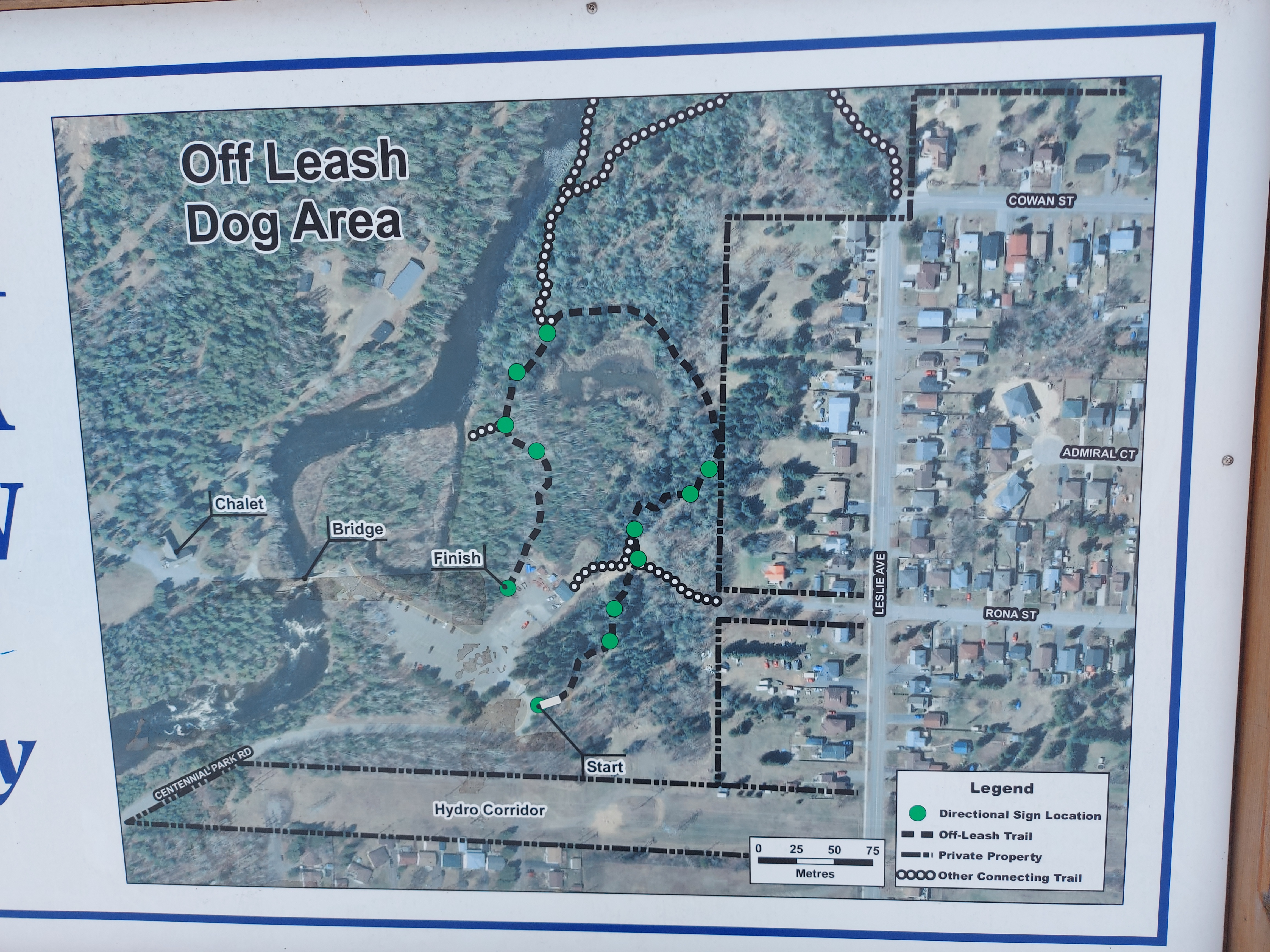 Centennial Park Off Leash Trail