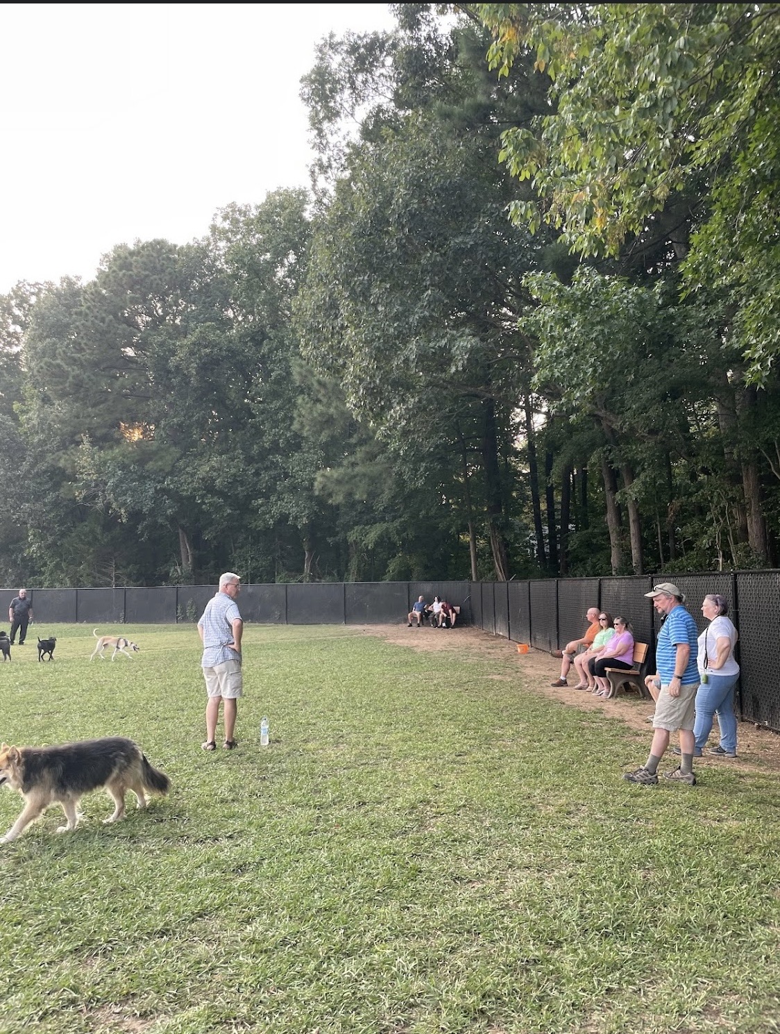 The Clover Hill Dog Park