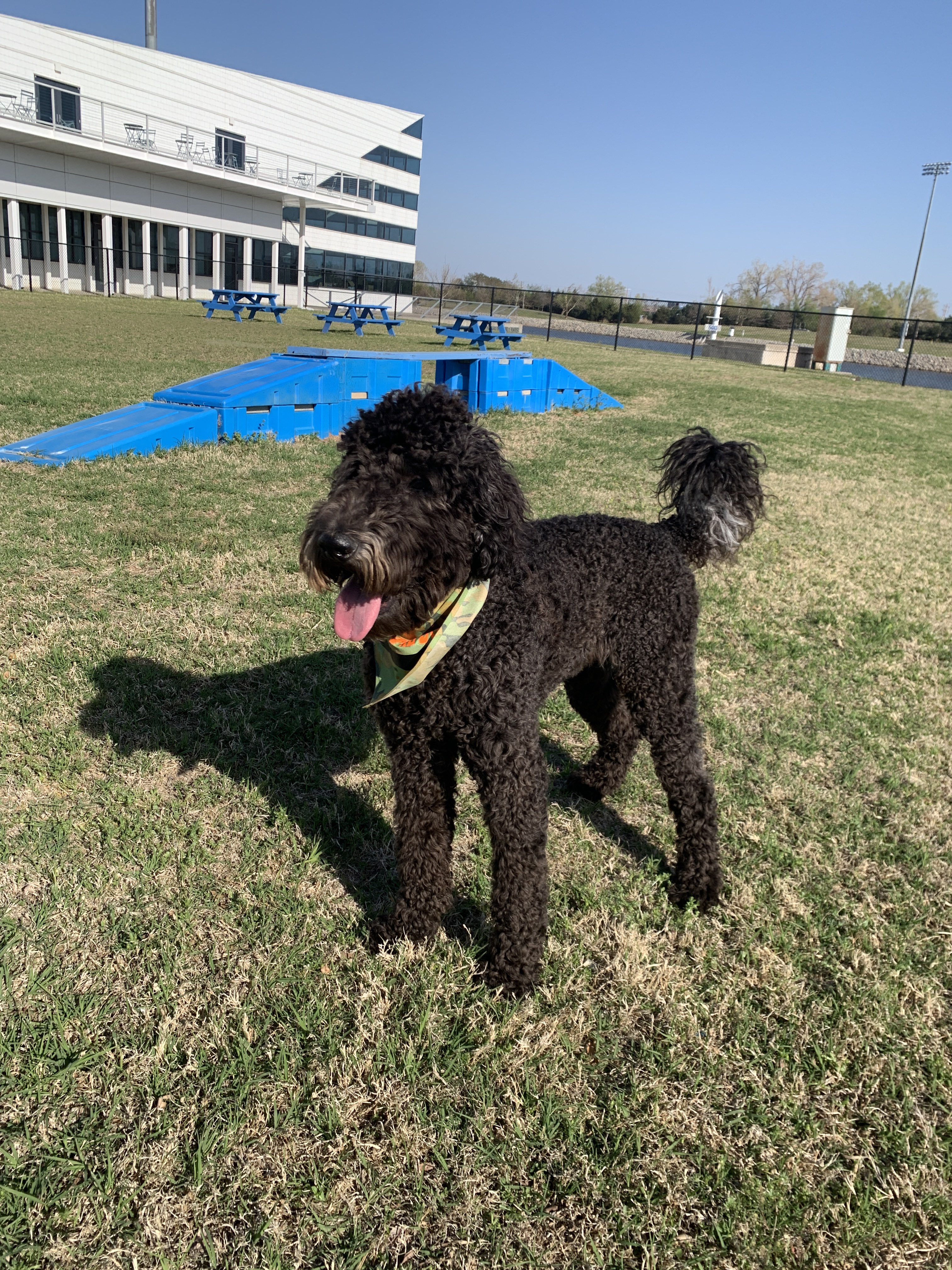 Riversport Dog Park