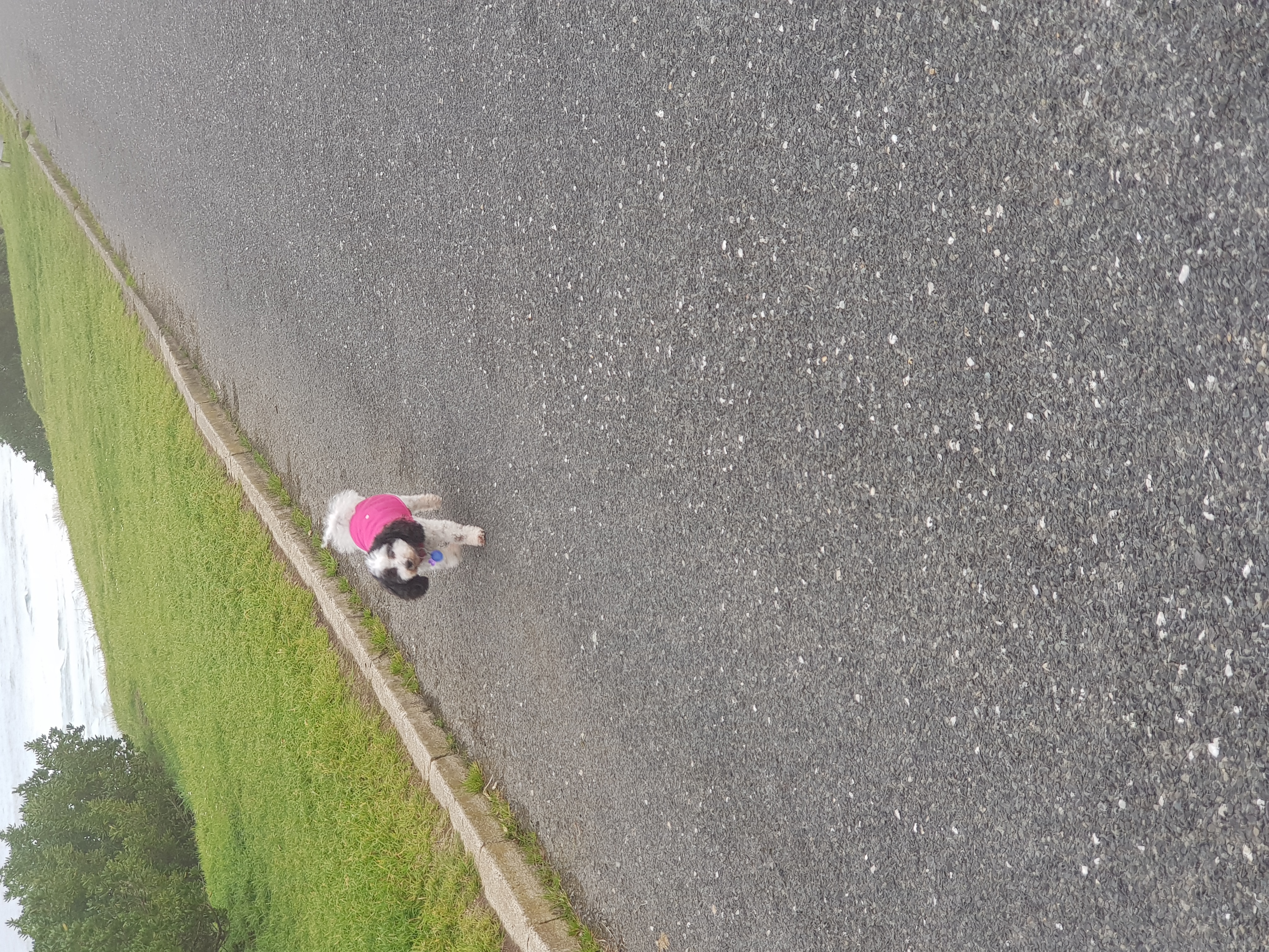 John Wilson Drive (after hours)