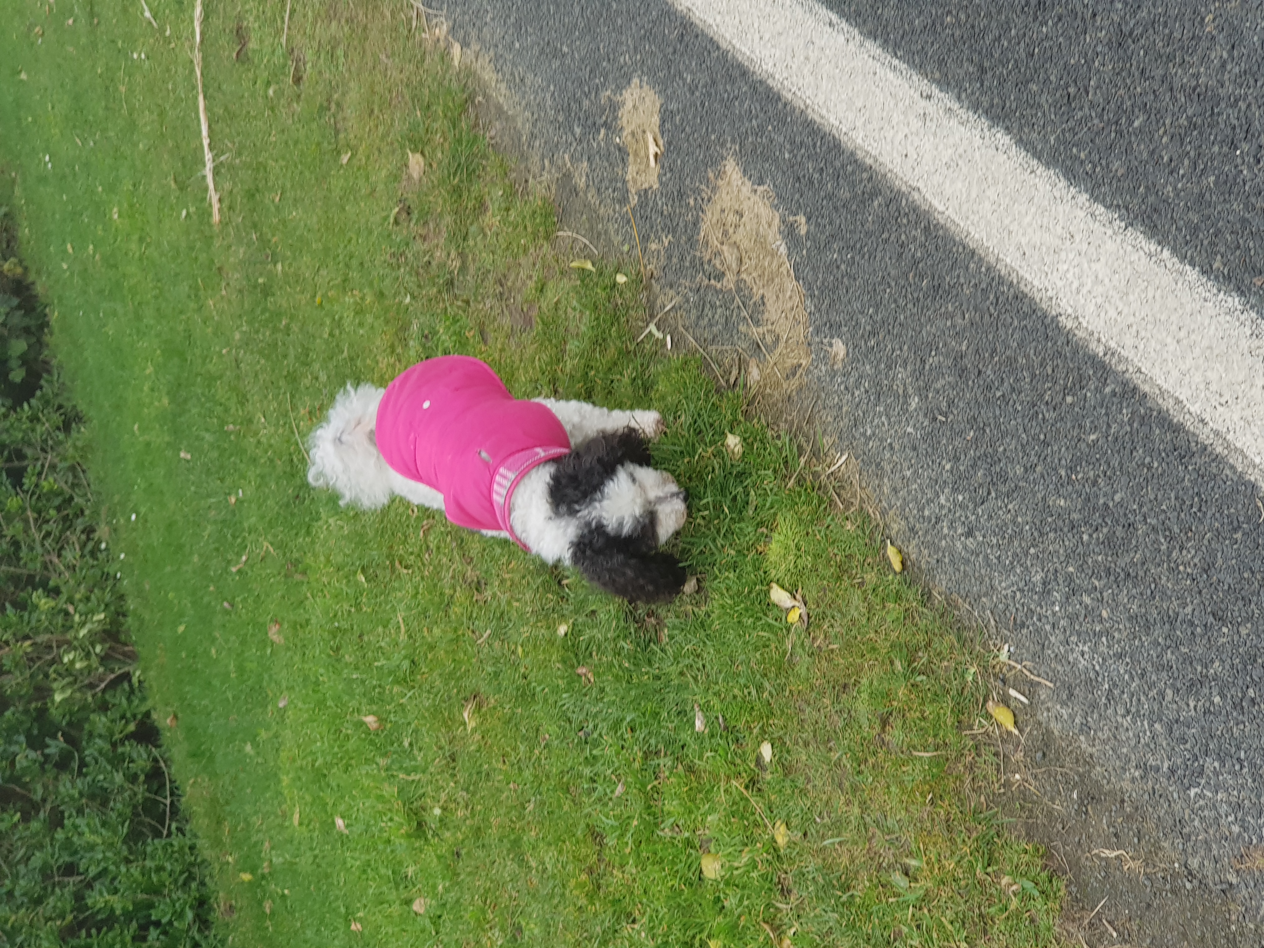 John Wilson Drive (after hours)