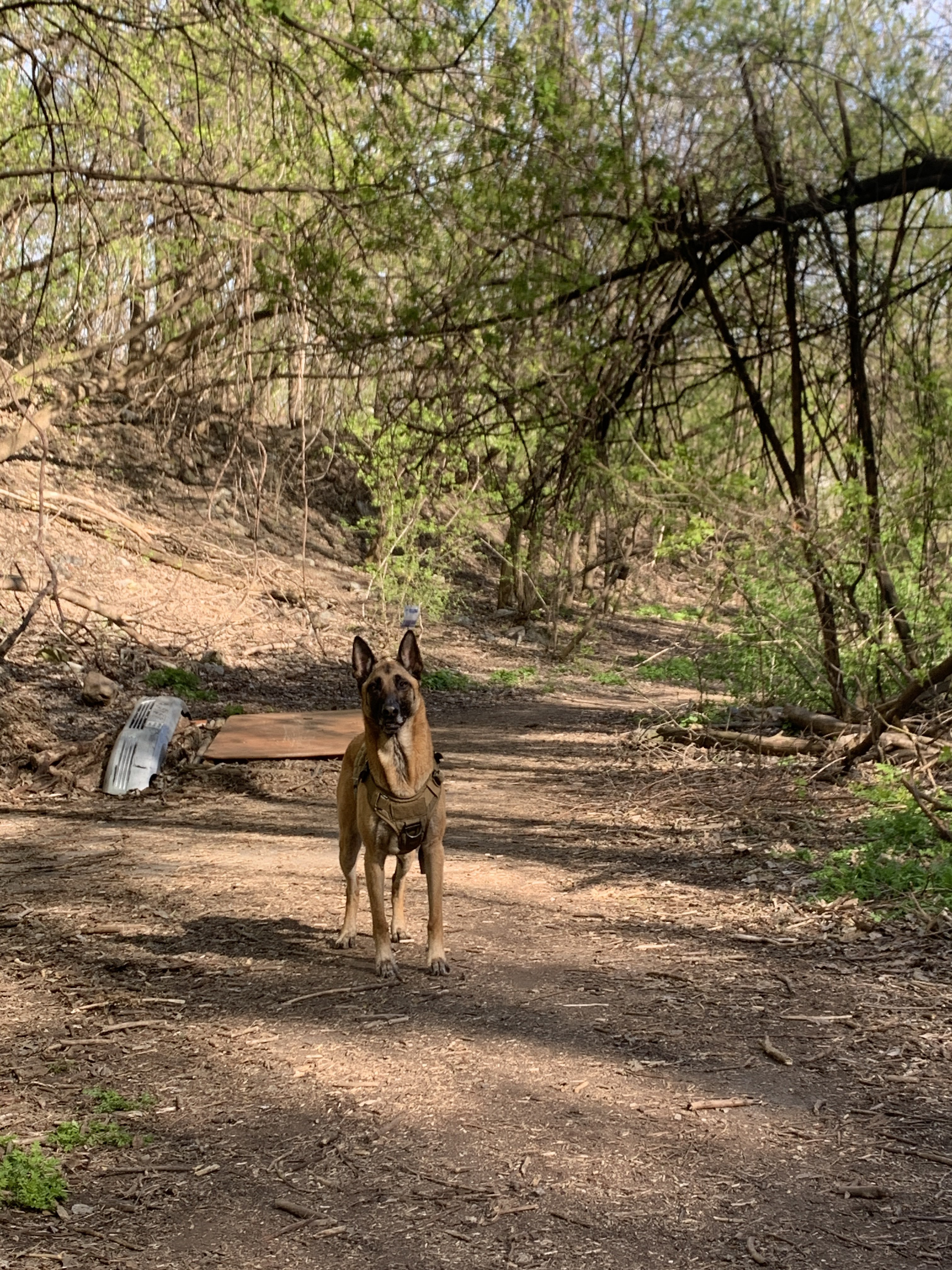 Saint-Jacques Escarpment