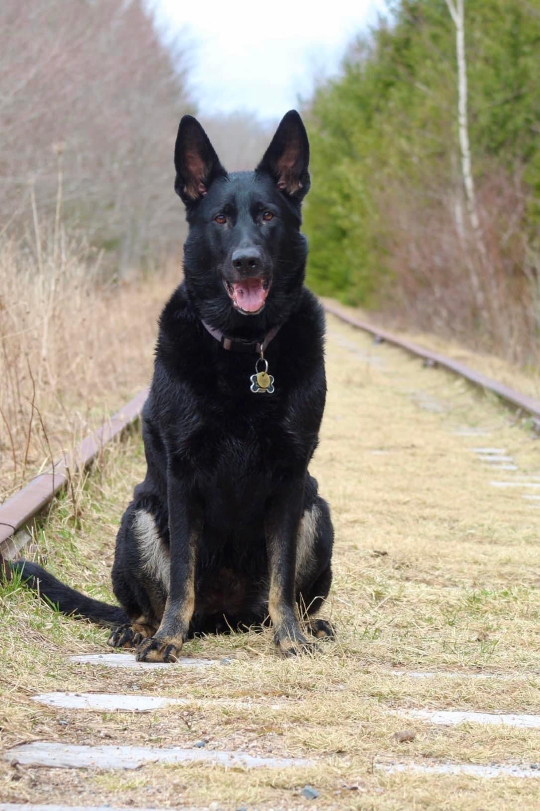 Beaverbank abandoned train tracks