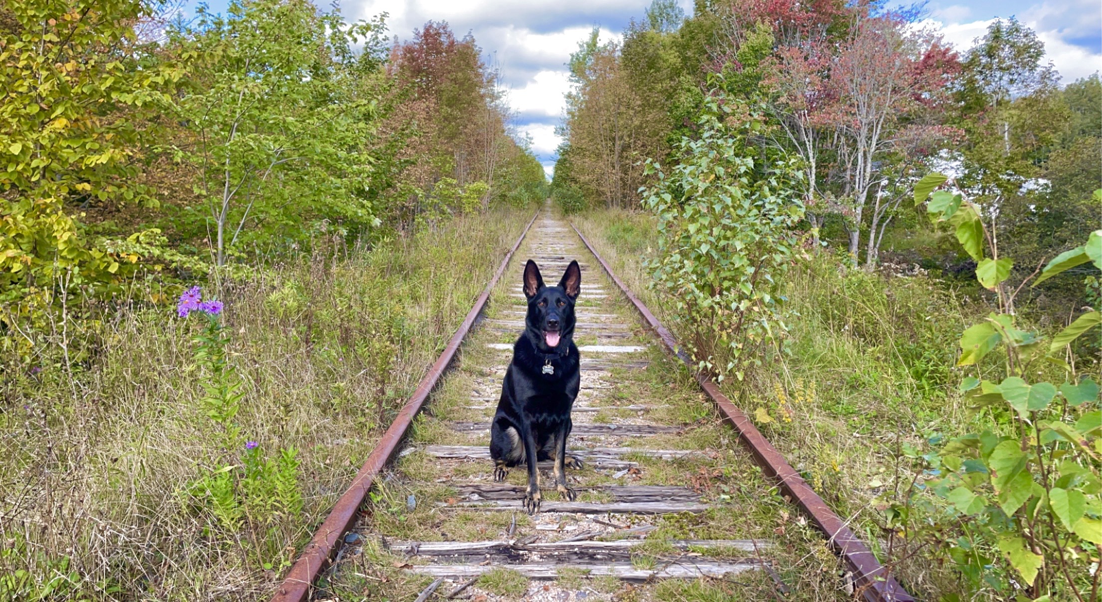 Beaverbank abandoned train tracks