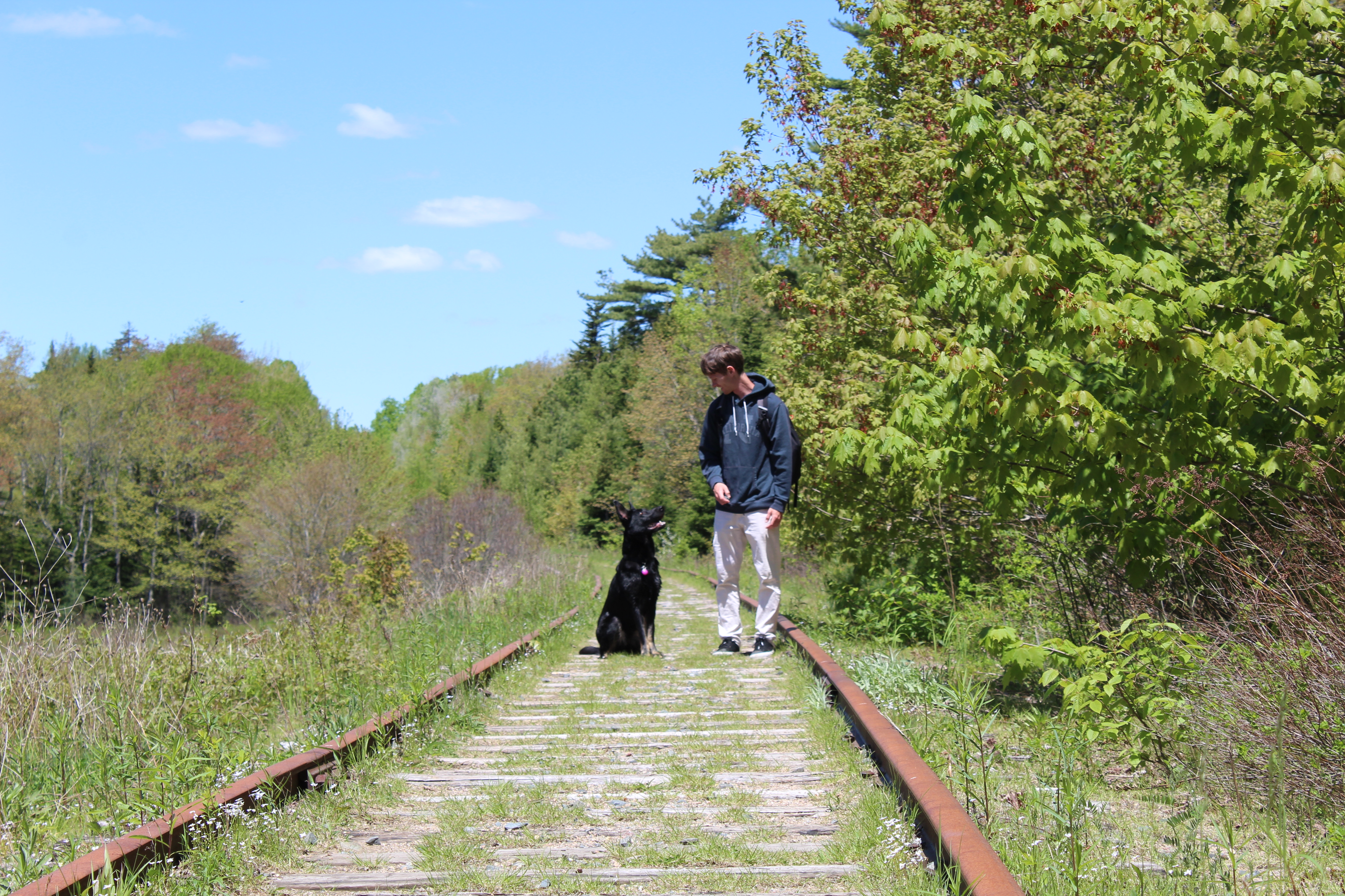 Beaverbank abandoned train tracks