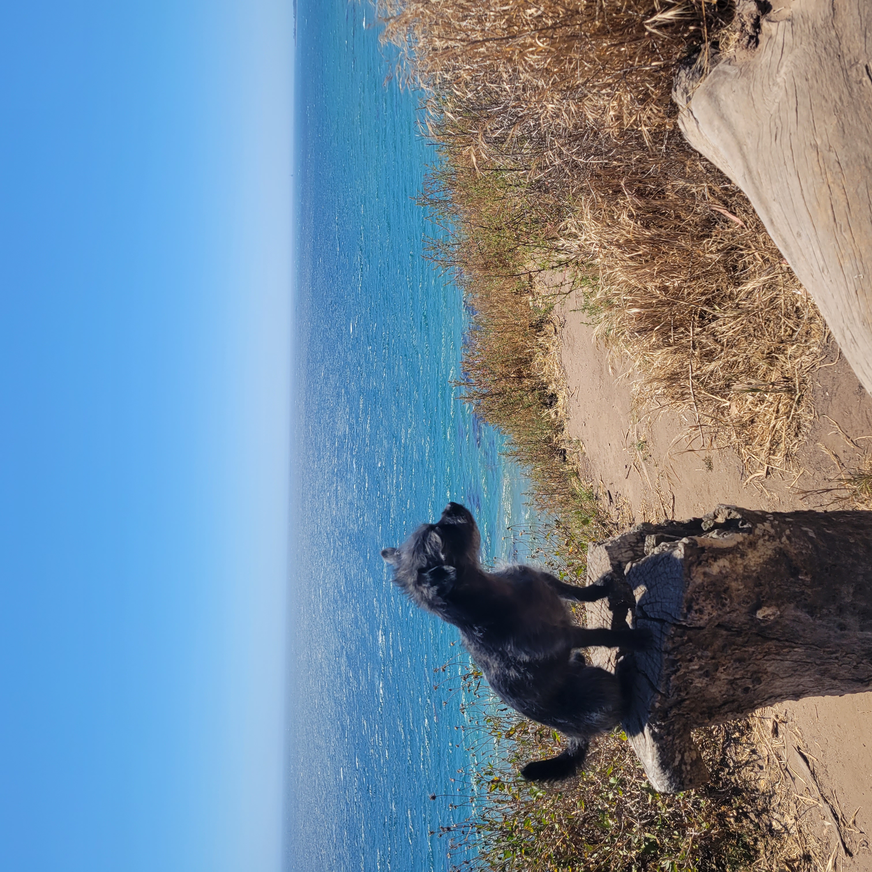 Douglas Family Preserve