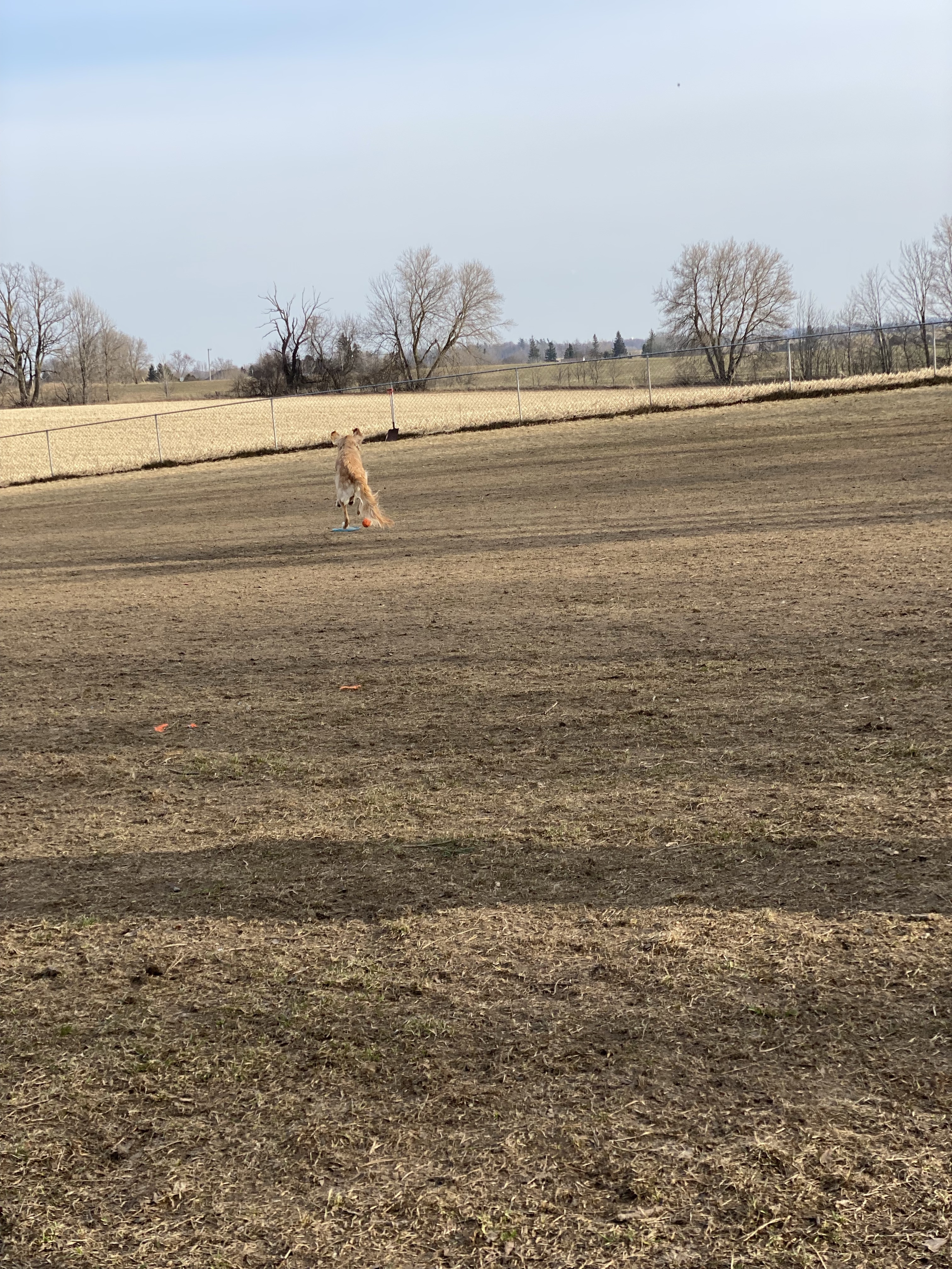 Heritage Pet & Garden