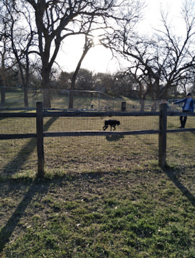 Lancaster Dog Park