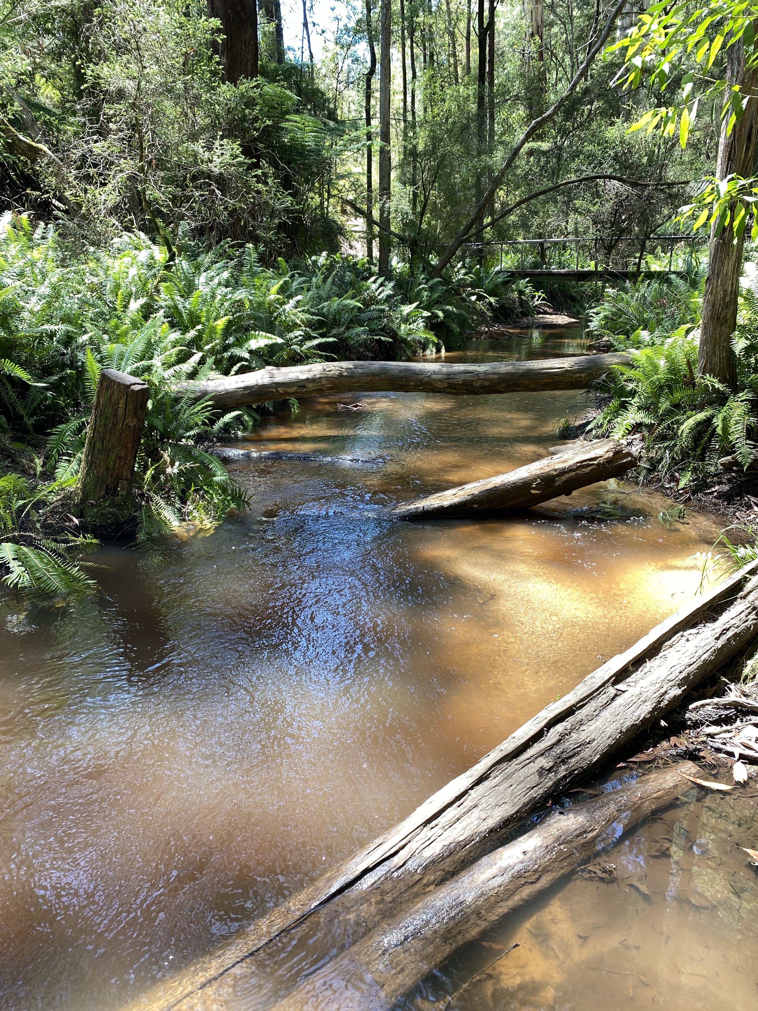 Kurth Kiln Regional Park
