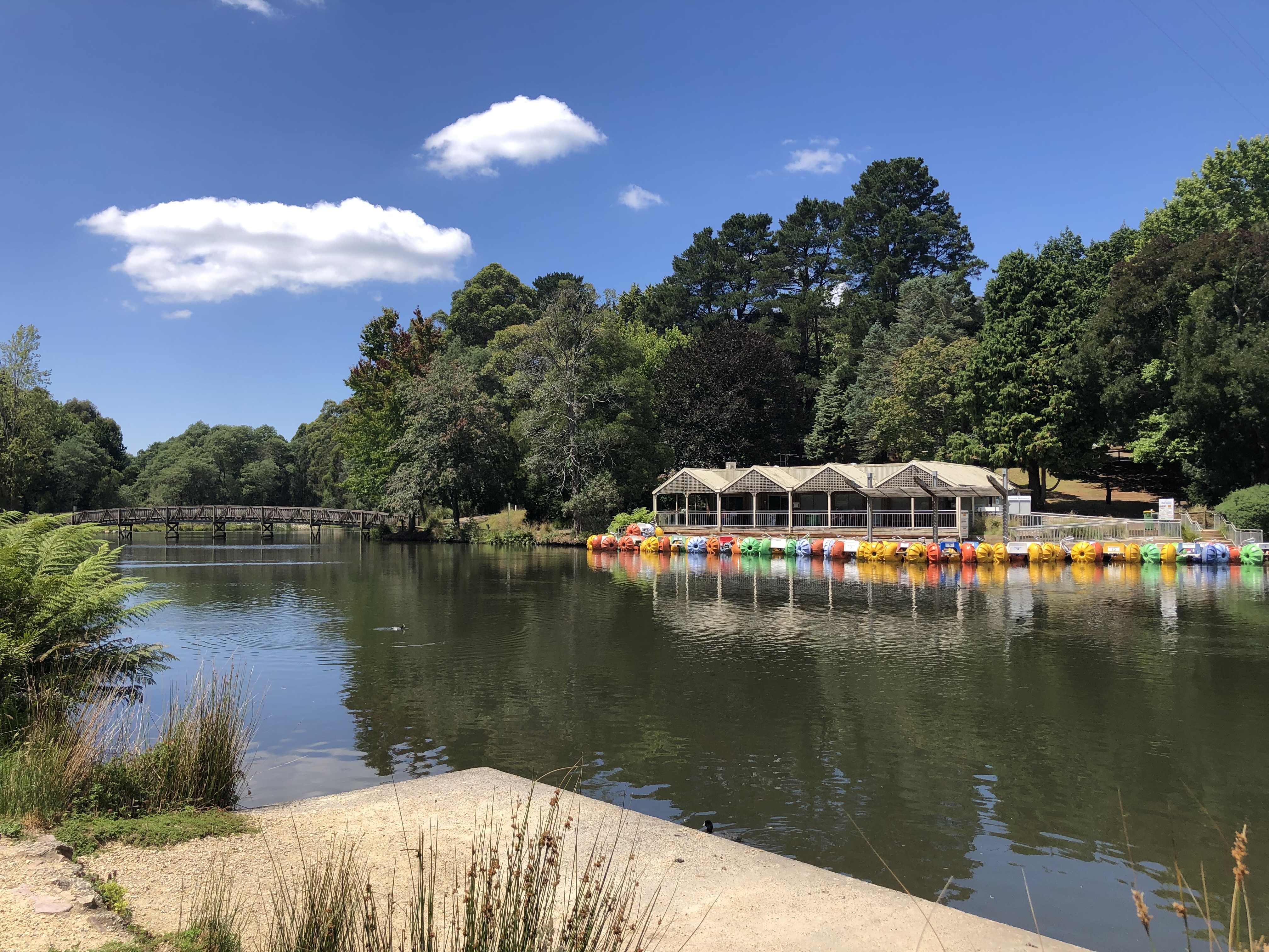 Emerald Lake Park Dogs on Lead