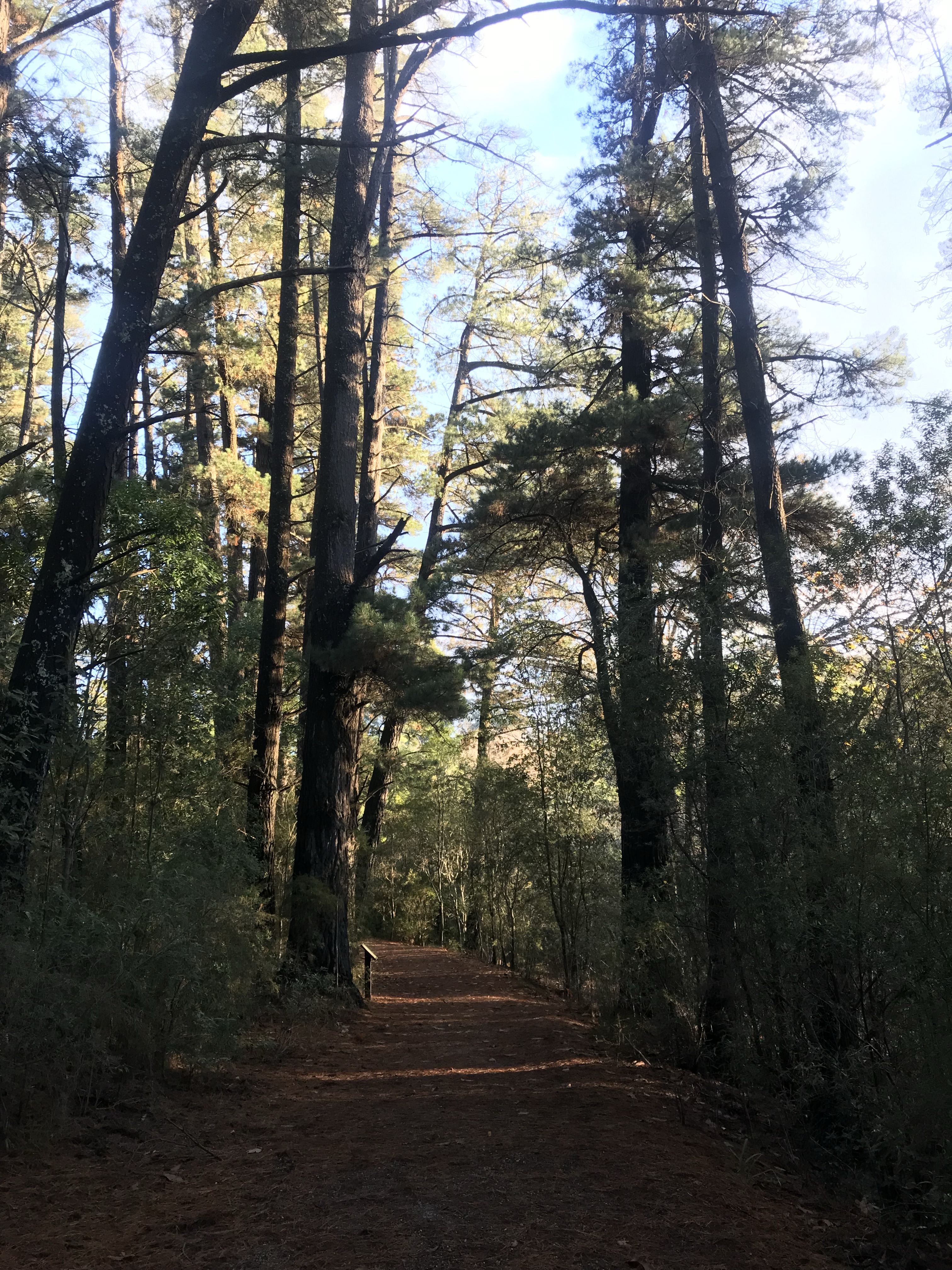 Emerald Lake Park Dogs on Lead