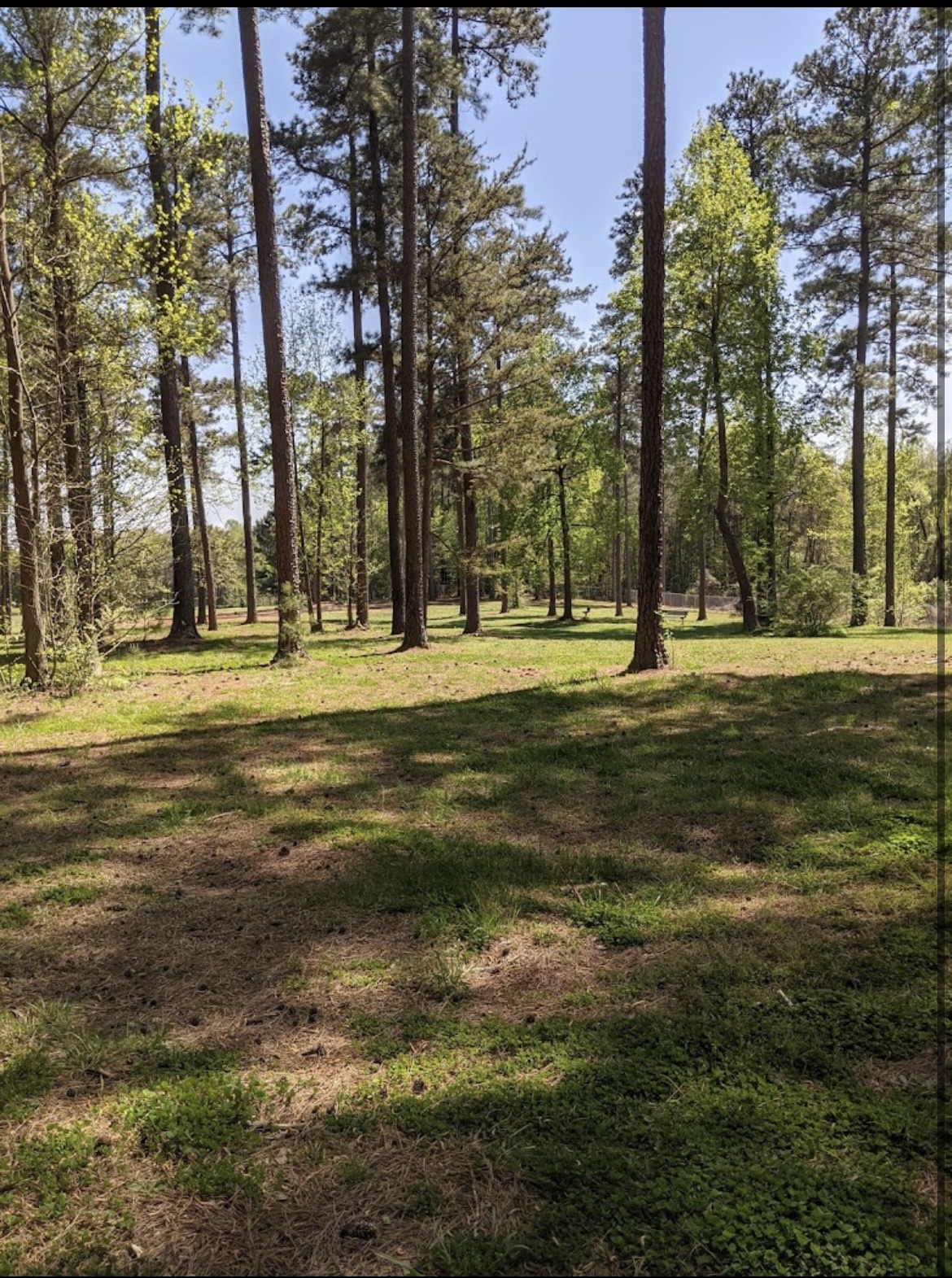 George Poston Dog Park