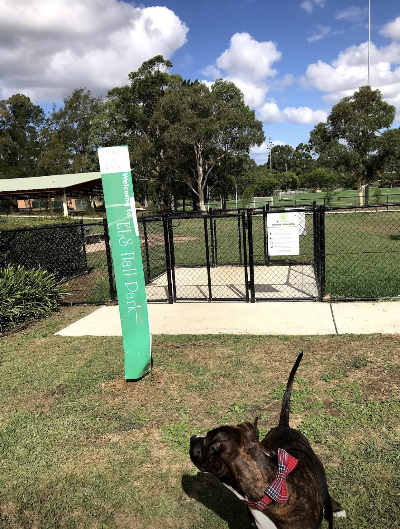 ELS Hall Dog Park