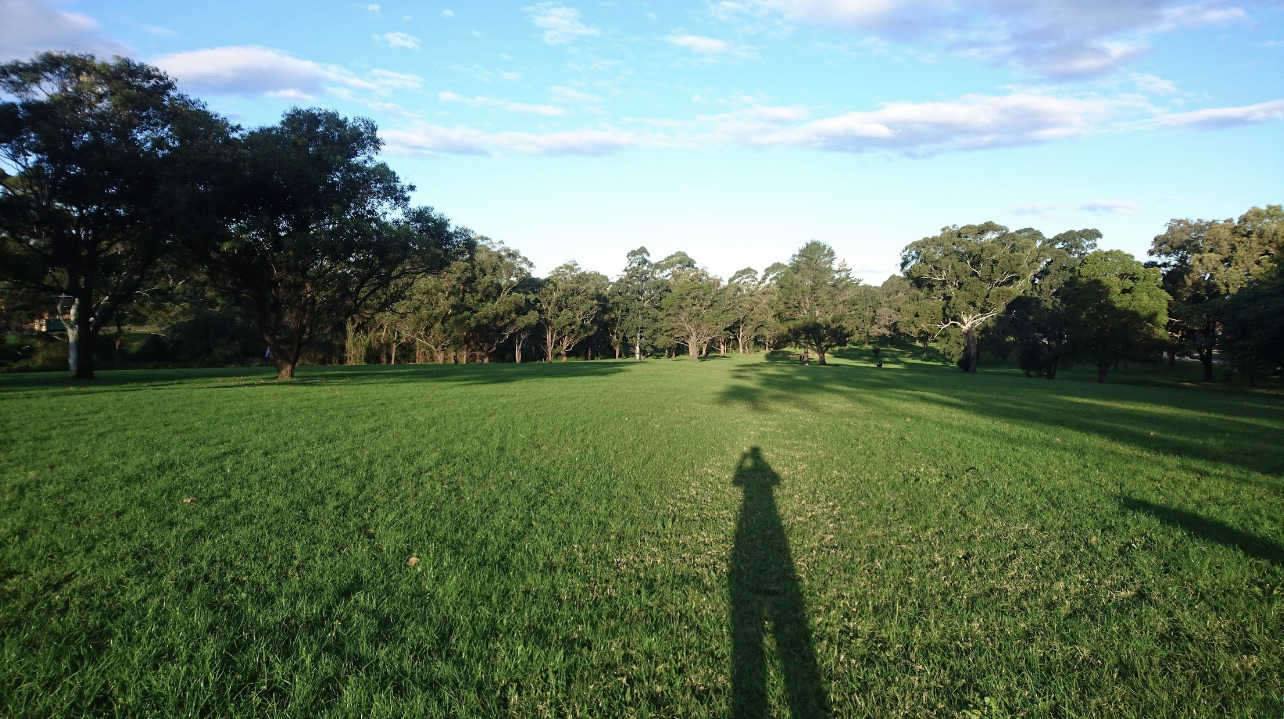 North Ryde Common
